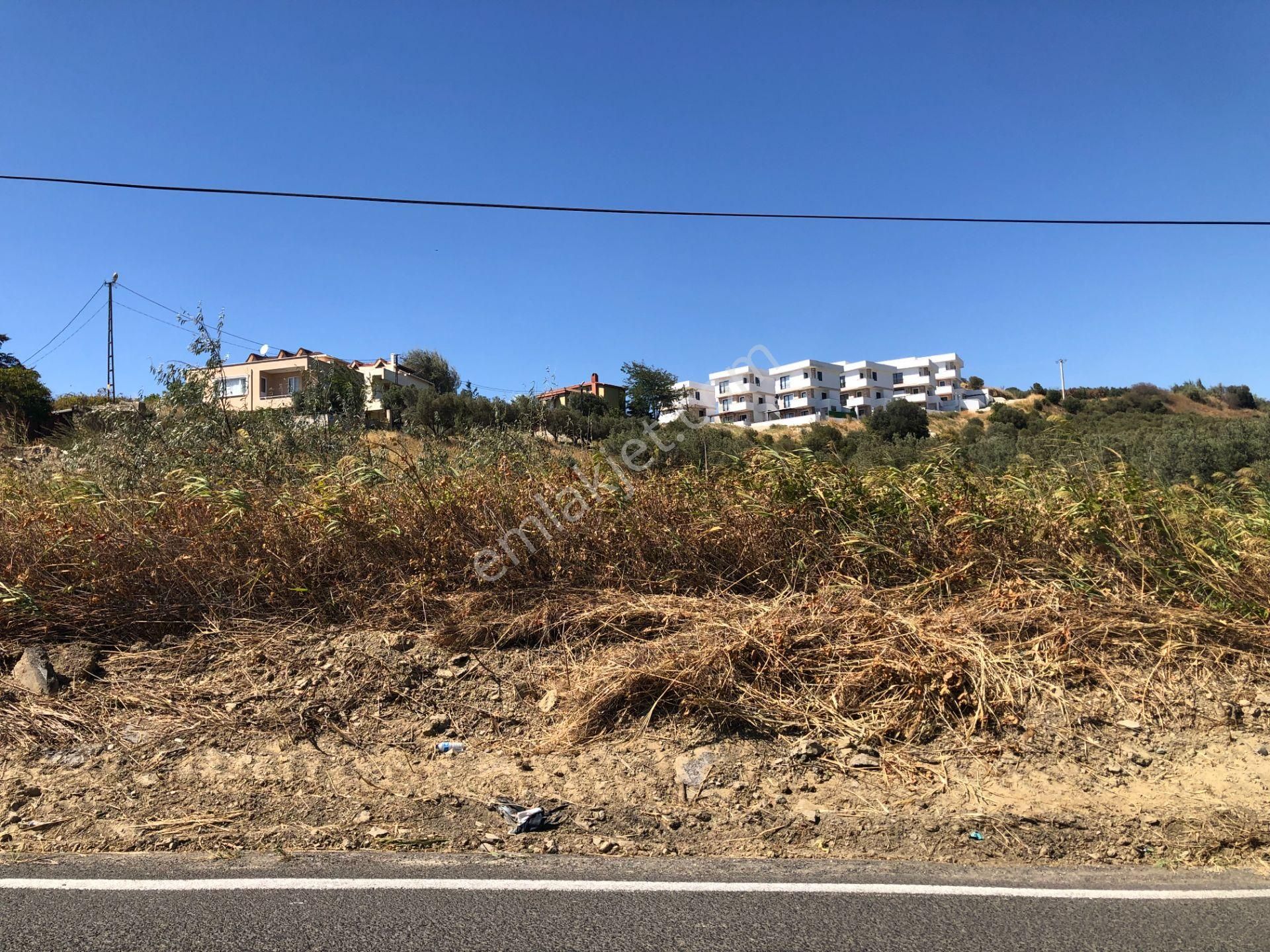 Şarköy De Işık Emlaktan Mürefte Mah De 4600 M2 0/20 İmarlı Arsa - Görsel 9