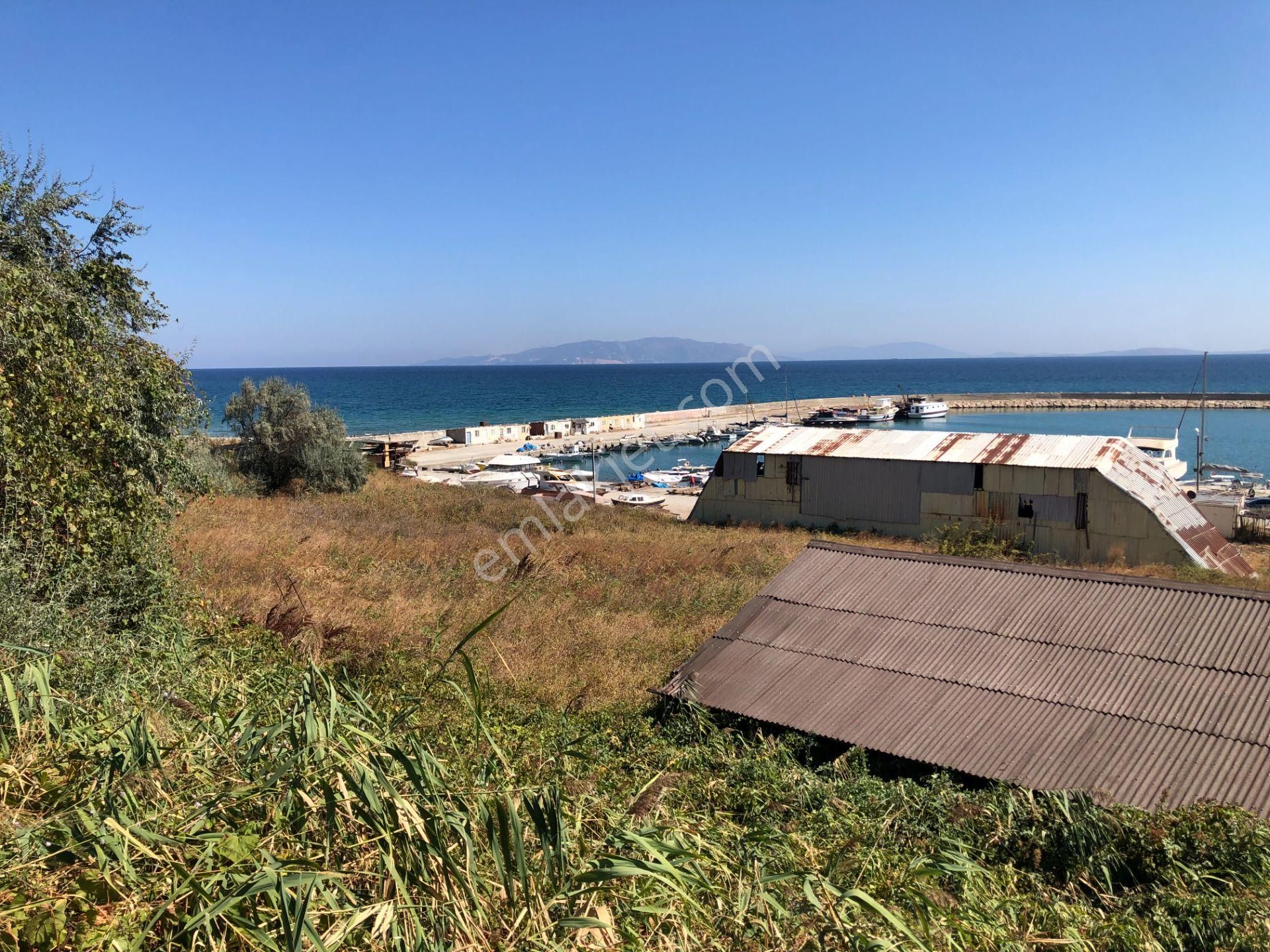 Şarköy De Işık Emlaktan Mürefte Mah De 4600 M2 0/20 İmarlı Arsa - Görsel 13