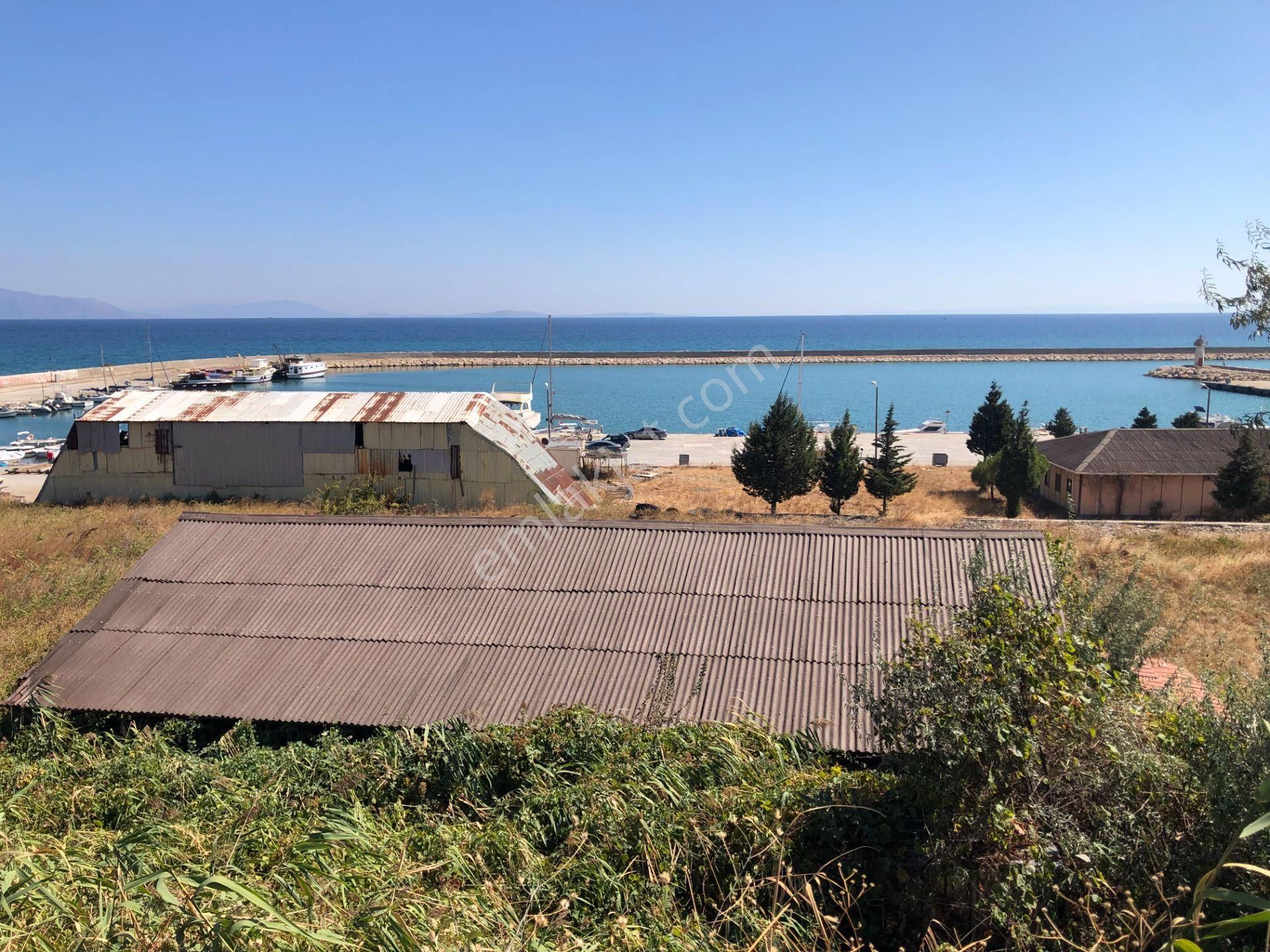 Şarköy De Işık Emlaktan Mürefte Mah De 4600 M2 0/20 İmarlı Arsa - Görsel 7