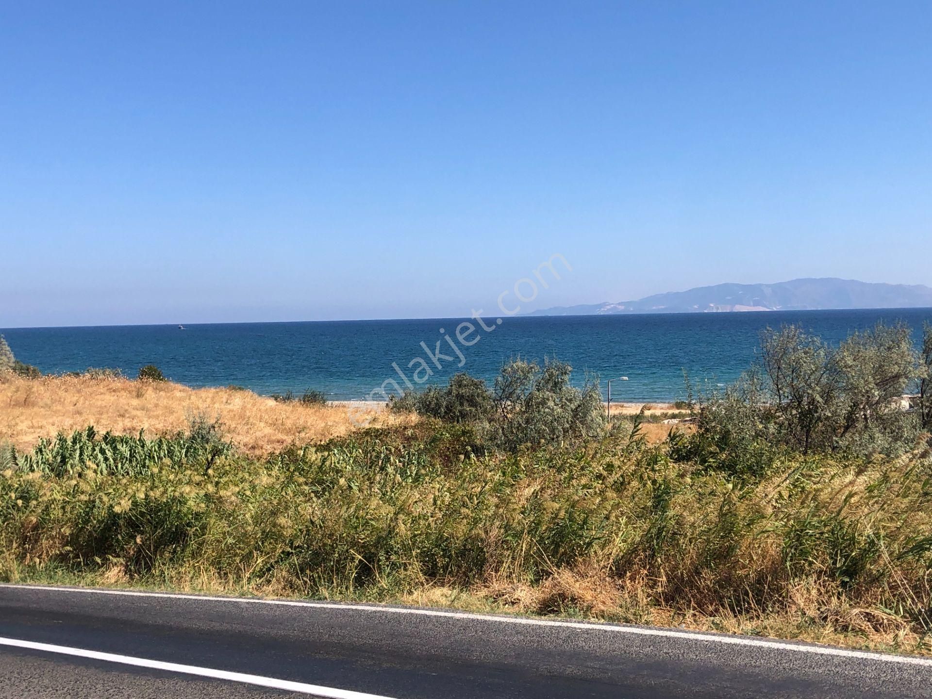 Şarköy De Işık Emlaktan Mürefte Mah De 4600 M2 0/20 İmarlı Arsa - Görsel 6