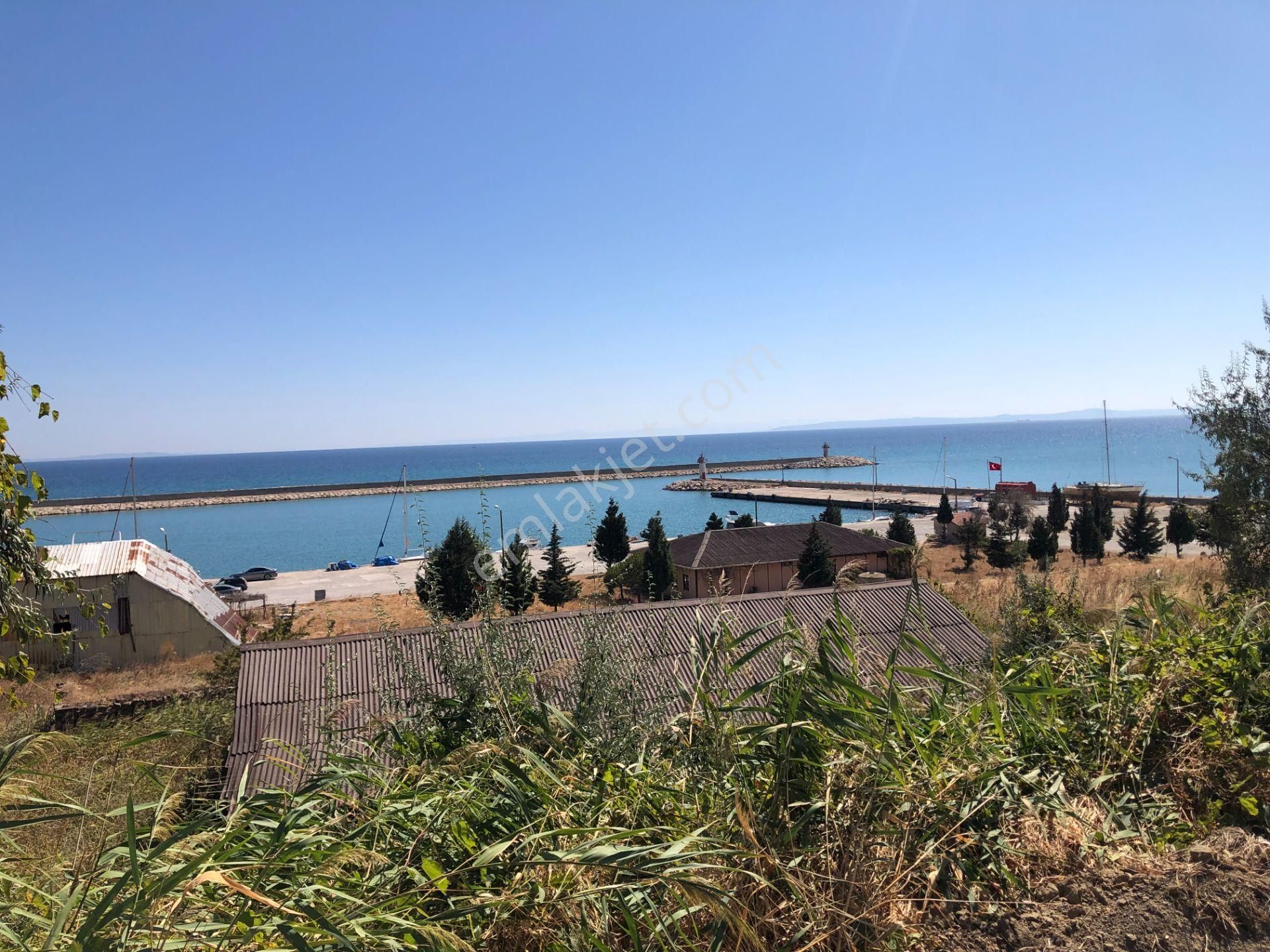 Şarköy De Işık Emlaktan Mürefte Mah De 4600 M2 0/20 İmarlı Arsa - Görsel 5