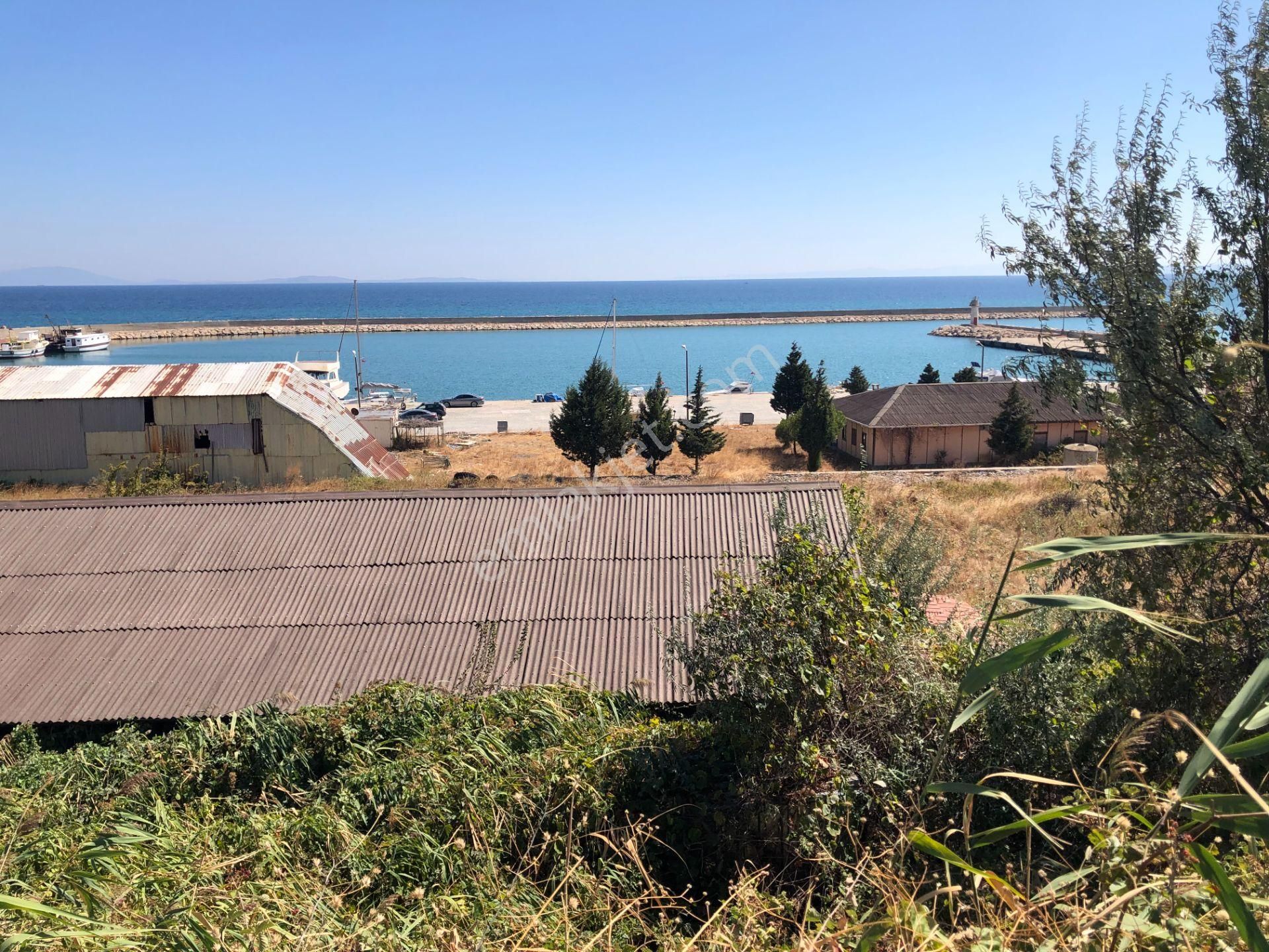 Şarköy De Işık Emlaktan Mürefte Mah De 4600 M2 0/20 İmarlı Arsa - Görsel 11