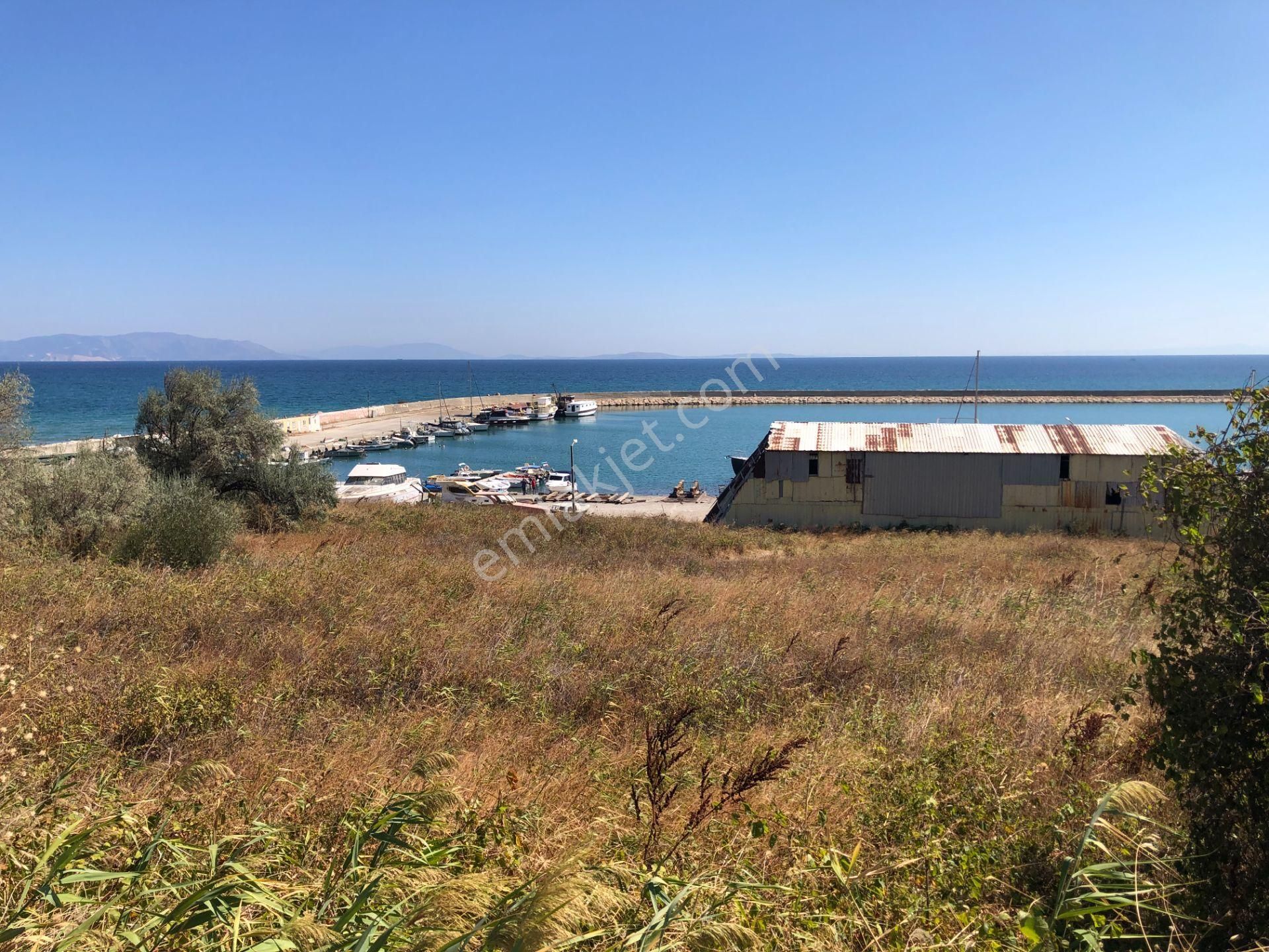 Şarköy De Işık Emlaktan Mürefte Mah De 4600 M2 0/20 İmarlı Arsa - Görsel 12