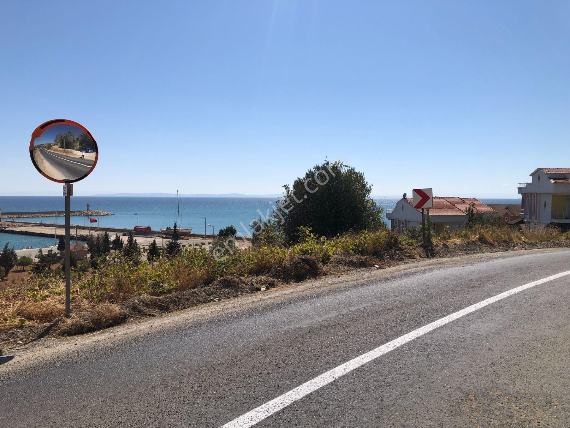 Şarköy De Işık Emlaktan Mürefte Mah De 4600 M2 0/20 İmarlı Arsa - Görsel 15