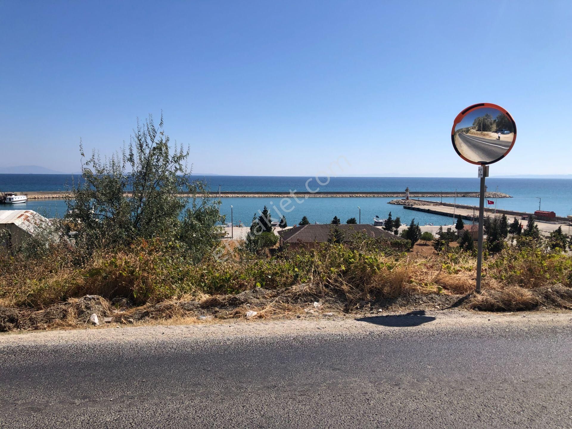 Şarköy De Işık Emlaktan Mürefte Mah De 4600 M2 0/20 İmarlı Arsa - Görsel 4