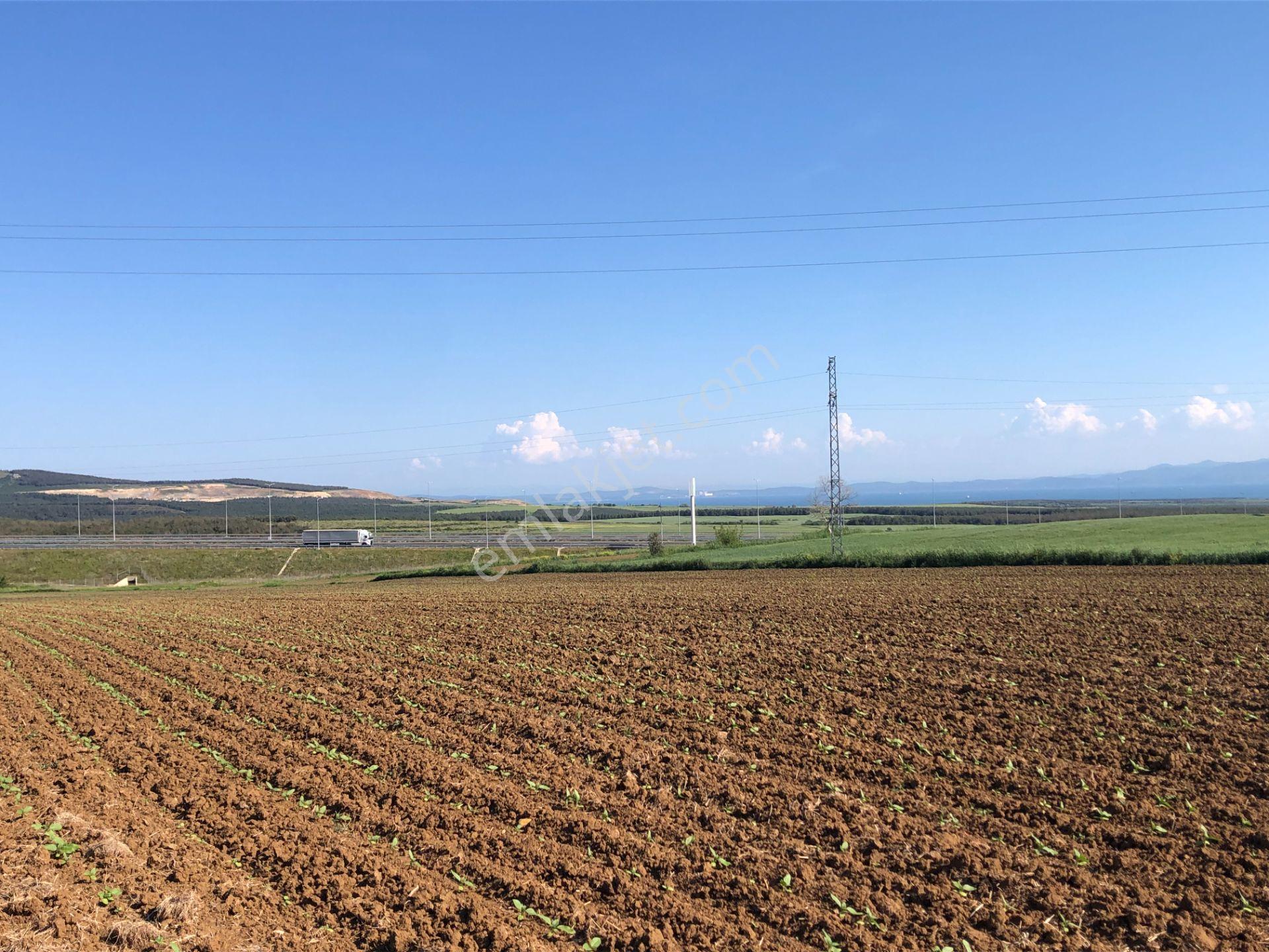 Şarköy De Işık Emlaktan Kavak Mah De 38.000 M2 Tarla - Görsel 4