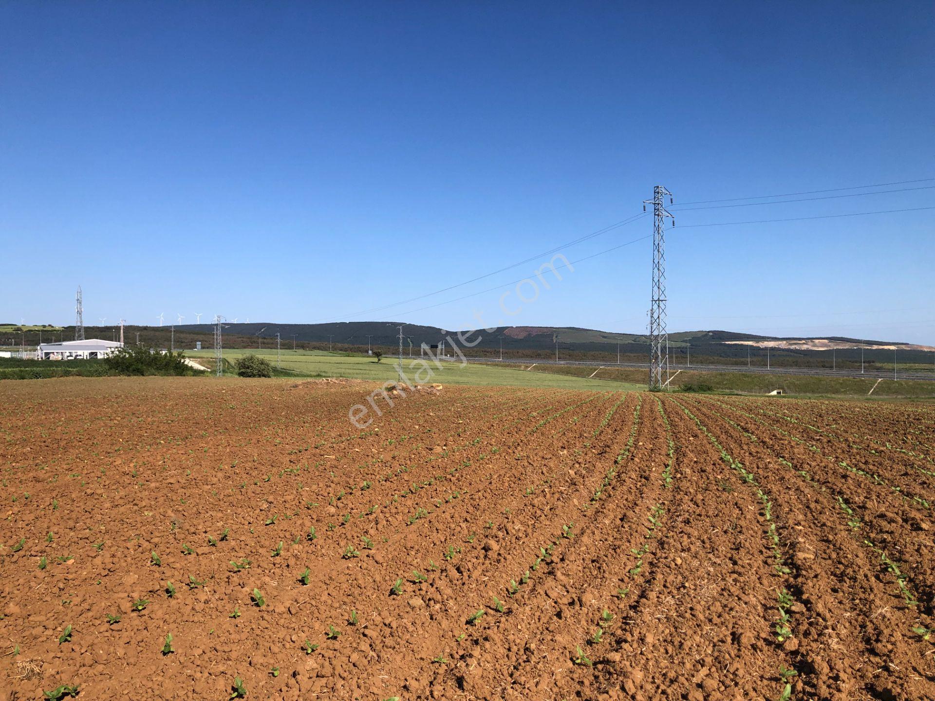 Şarköy De Işık Emlaktan Kavak Mah De 38.000 M2 Tarla - Görsel 7