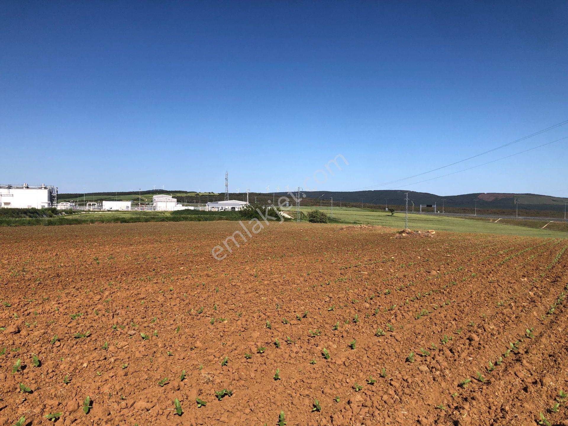 Şarköy De Işık Emlaktan Kavak Mah De 38.000 M2 Tarla - Görsel 8