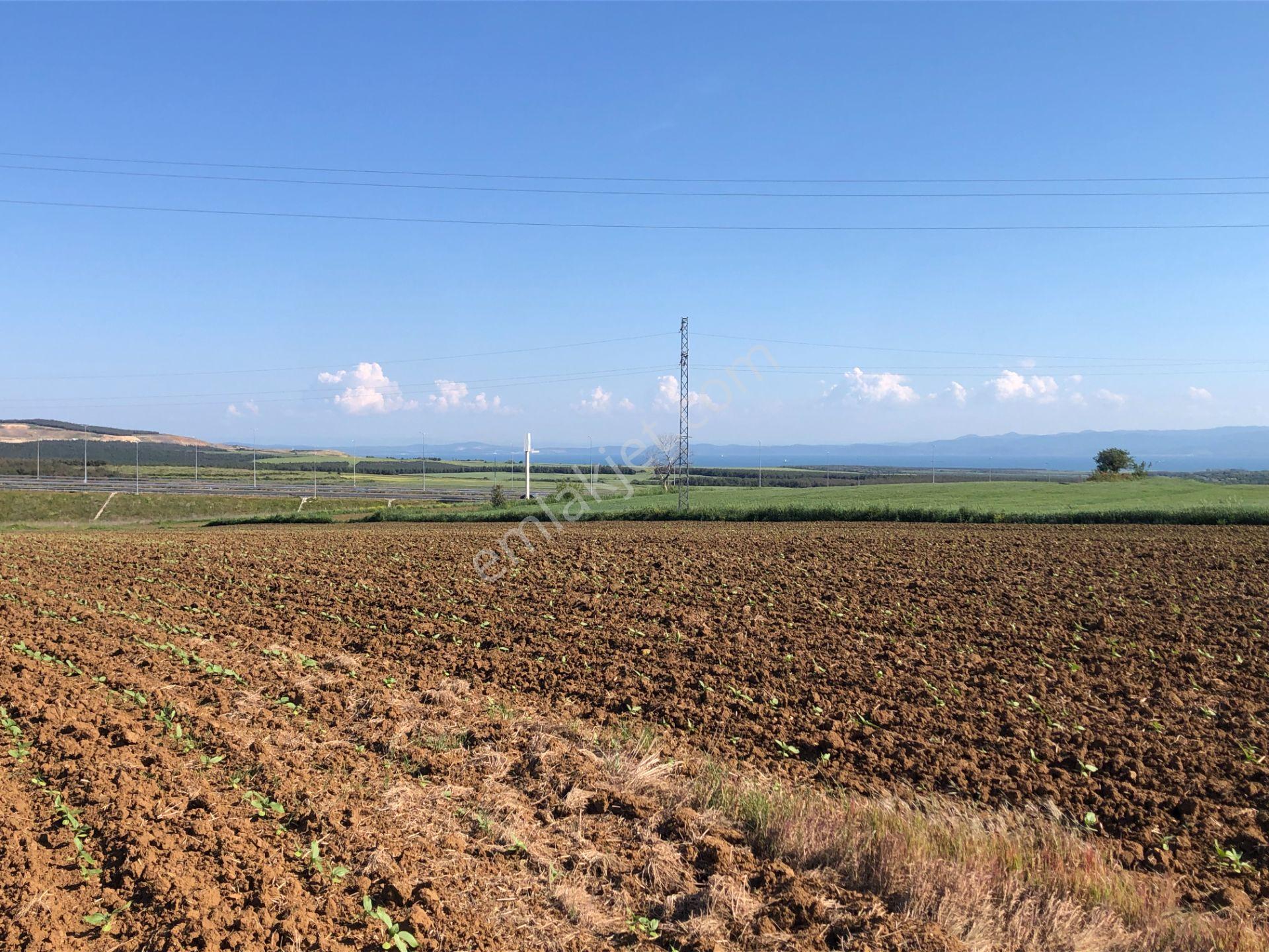 Şarköy De Işık Emlaktan Kavak Mah De 38.000 M2 Tarla - Görsel 3