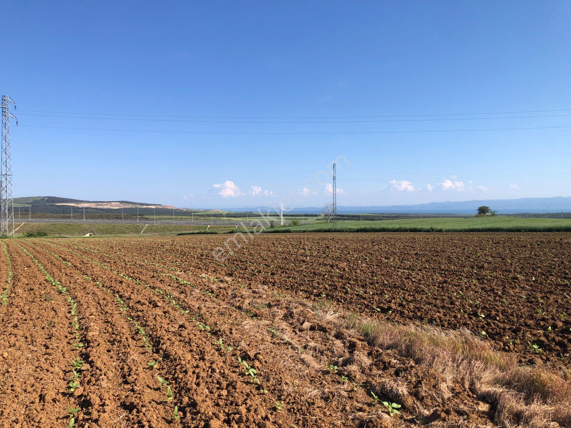 Şarköy De Işık Emlaktan Kavak Mah De 38.000 M2 Tarla - Görsel 9