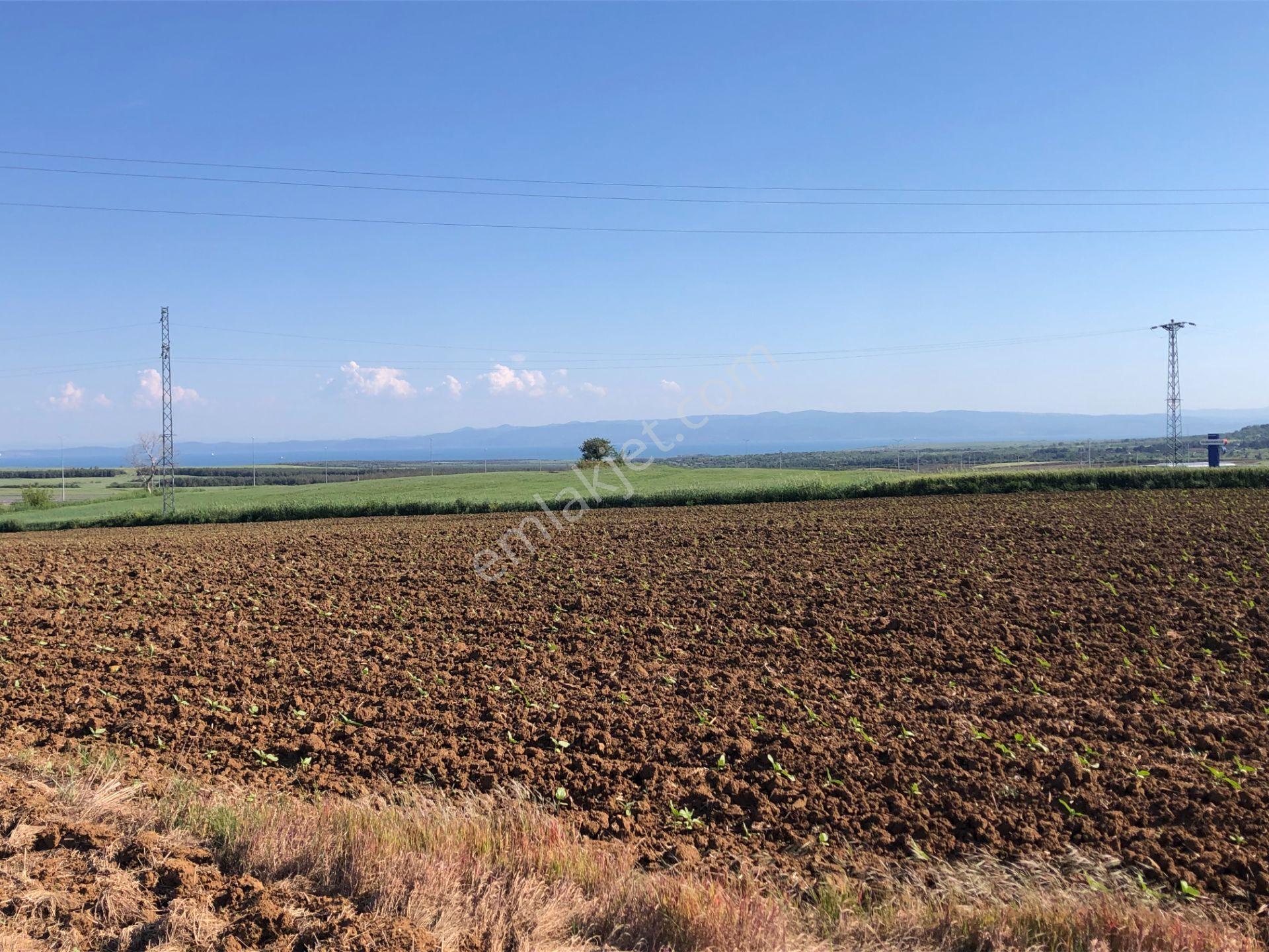 Şarköy De Işık Emlaktan Kavak Mah De 38.000 M2 Tarla - Görsel 2