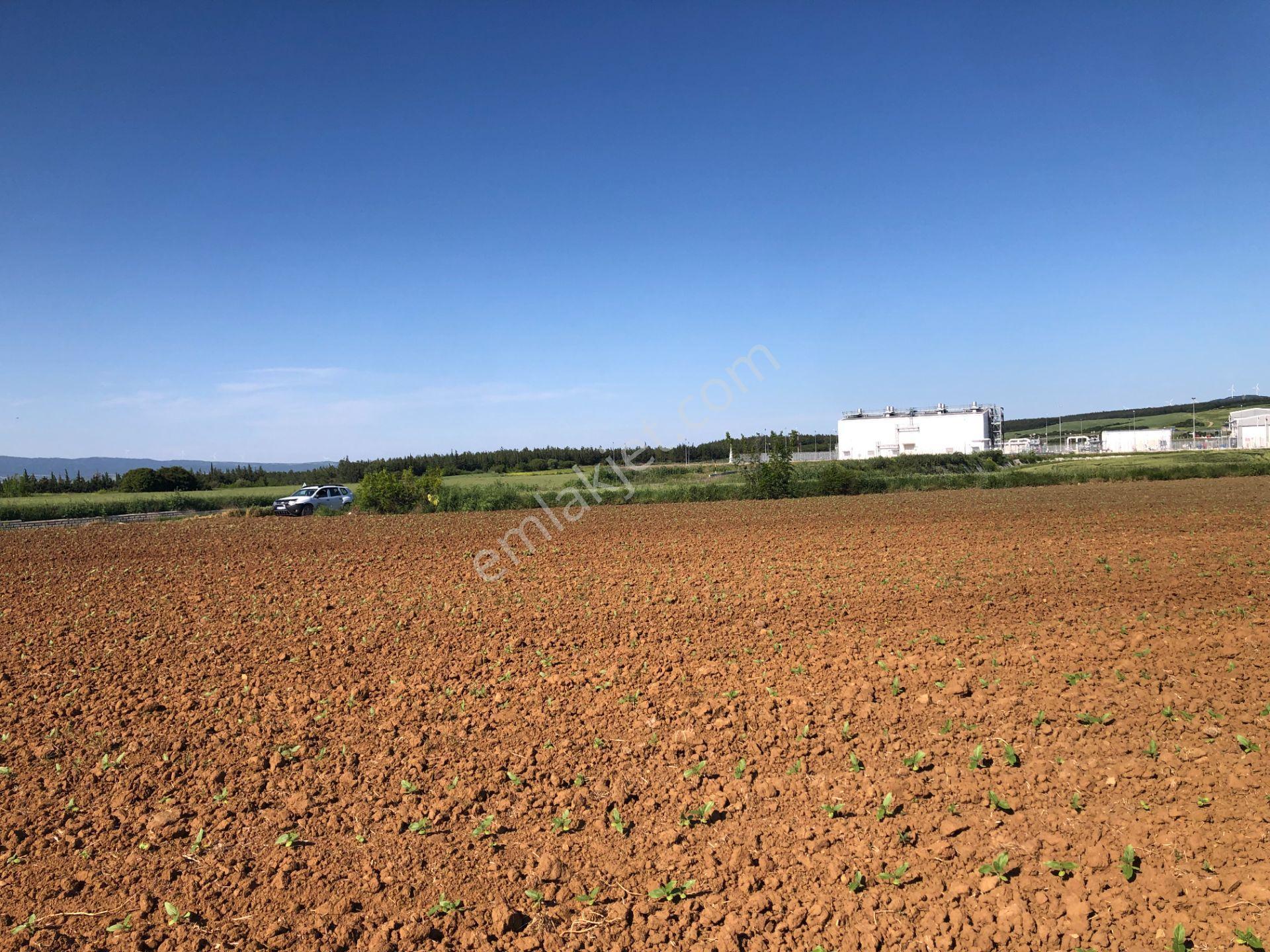 Şarköy De Işık Emlaktan Kavak Mah De 38.000 M2 Tarla - Görsel 10