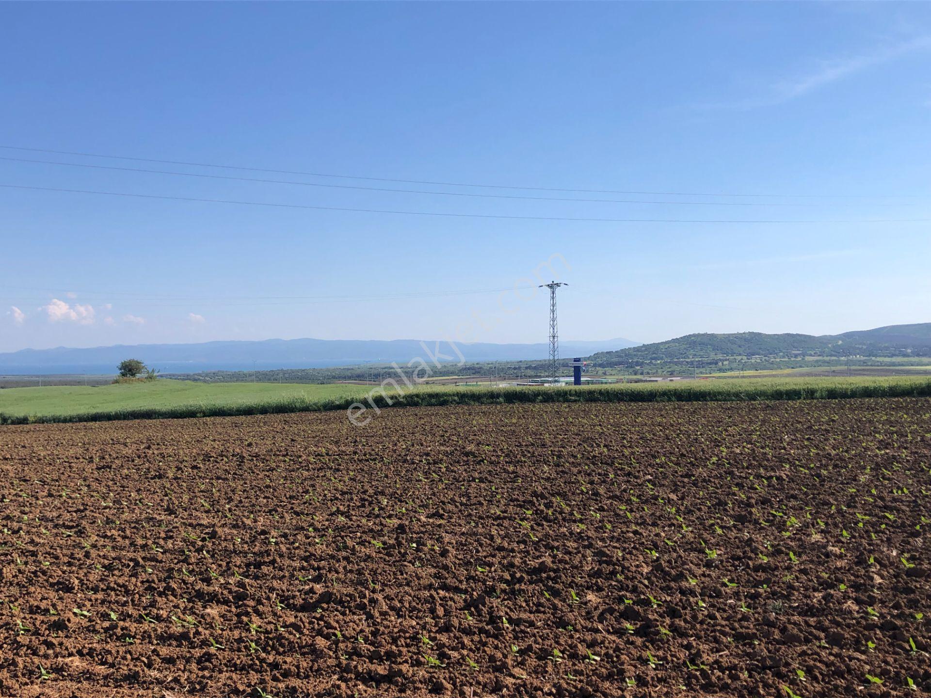 Şarköy De Işık Emlaktan Kavak Mah De 38.000 M2 Tarla - Görsel 6