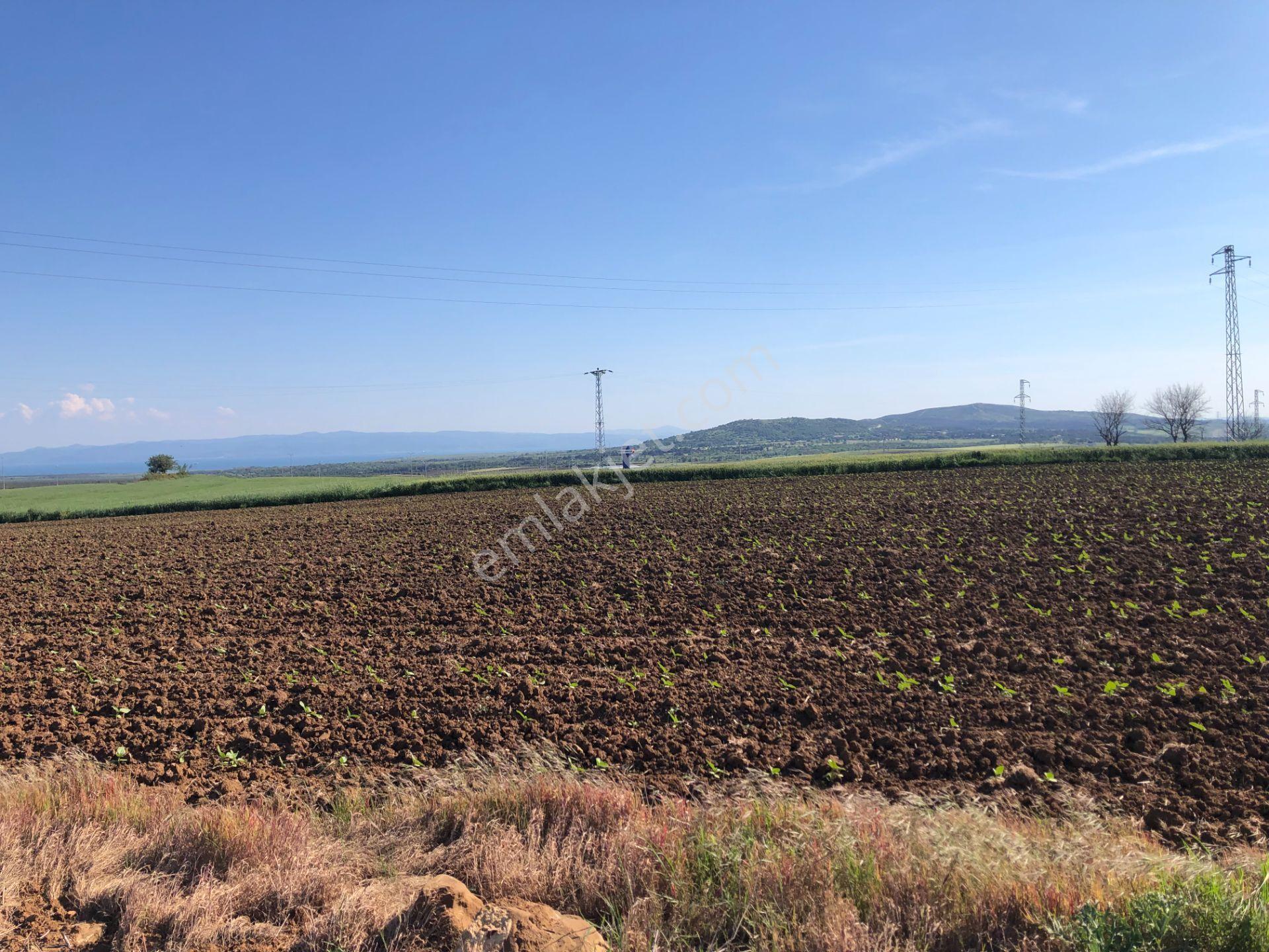 Şarköy De Işık Emlaktan Kavak Mah De 38.000 M2 Tarla - Görsel 5