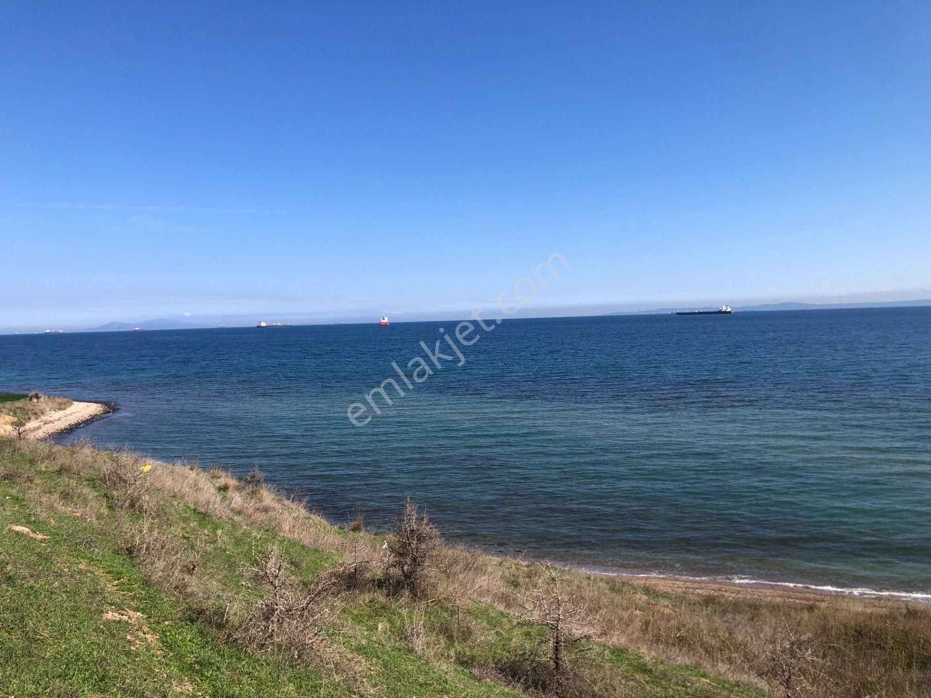 Şarköy De Işık Emlaktan Kızılcaterzi Mah De 383 M2 0/15 İmarlı Arsa - Görsel 5