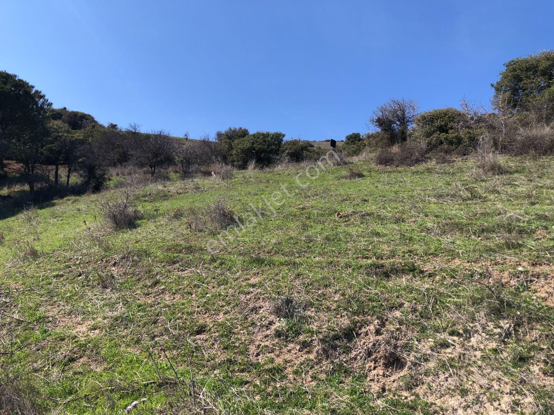 Şarköy De Işık Emlaktan Kızılcaterzi Mah De 383 M2 0/15 İmarlı Arsa - Görsel 17