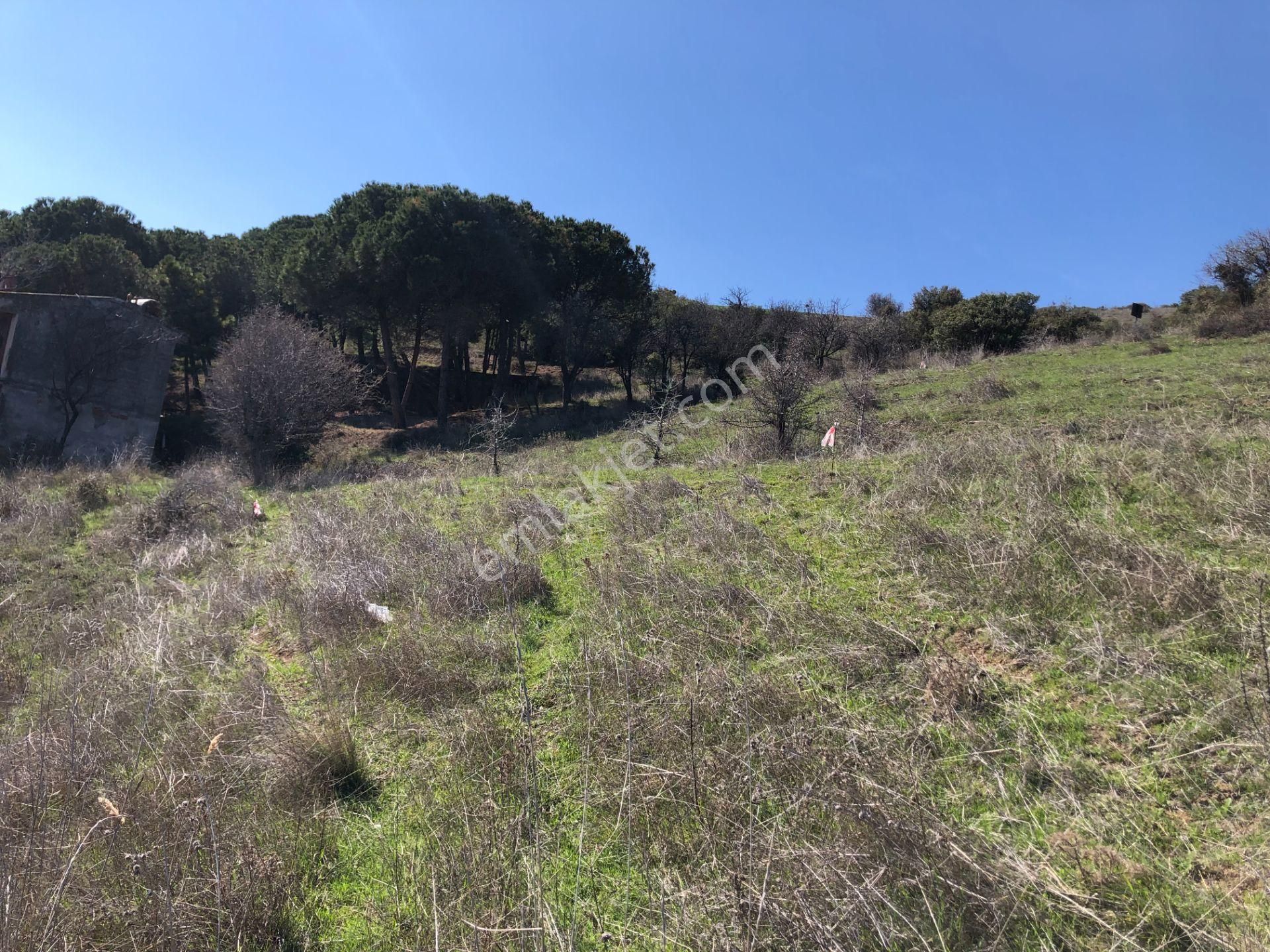 Şarköy De Işık Emlaktan Kızılcaterzi Mah De 383 M2 0/15 İmarlı Arsa - Görsel 13