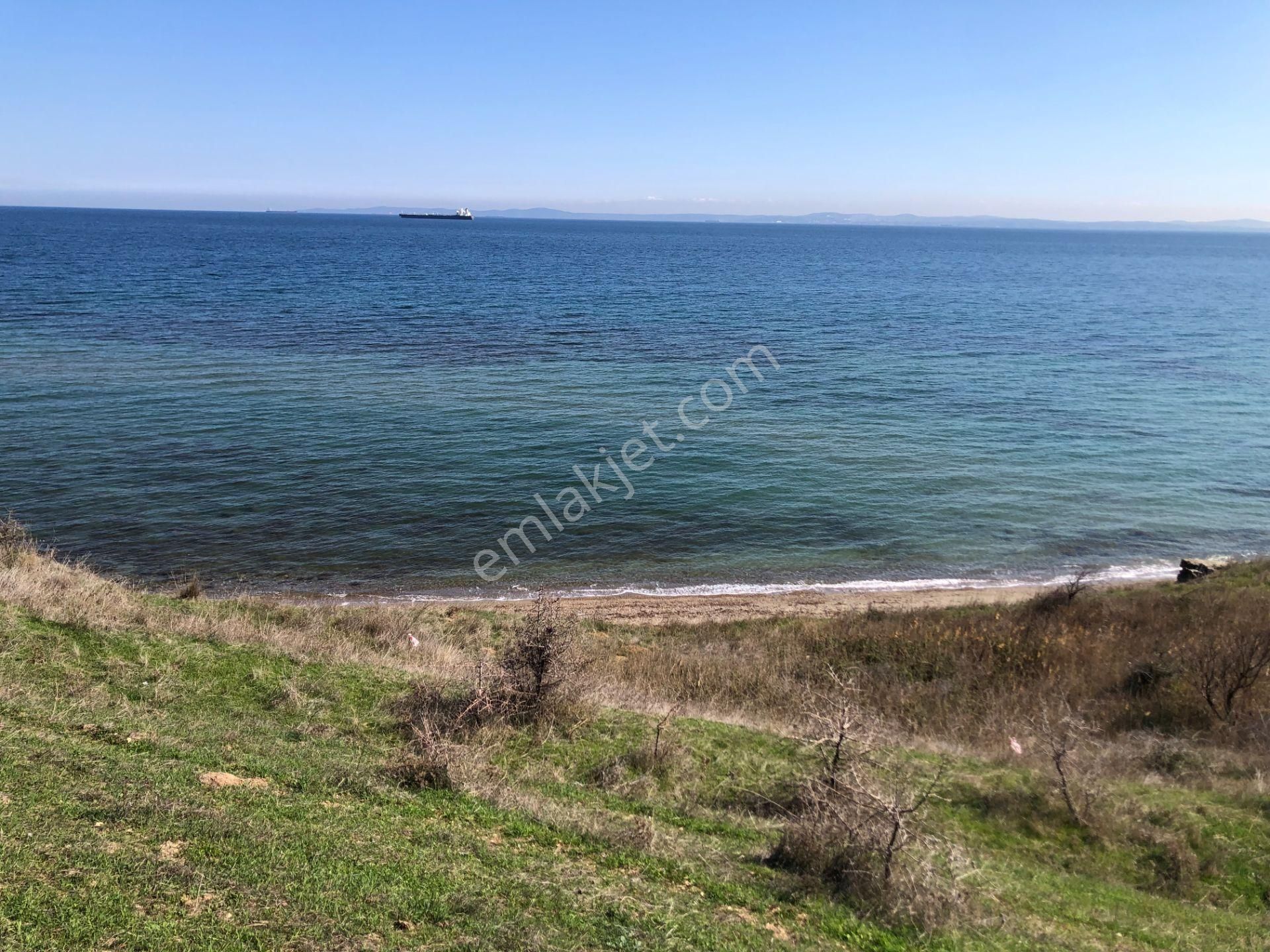 Şarköy De Işık Emlaktan Kızılcaterzi Mah De 383 M2 0/15 İmarlı Arsa - Görsel 10