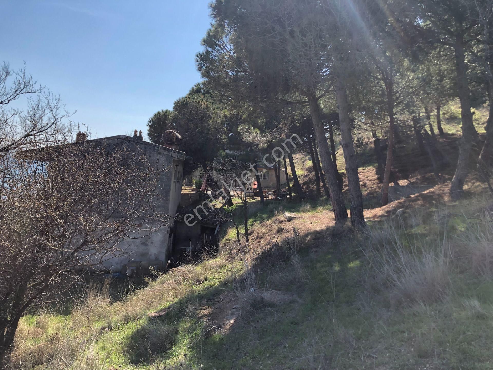 Şarköy De Işık Emlaktan Kızılcaterzi Mah De 383 M2 0/15 İmarlı Arsa - Görsel 12