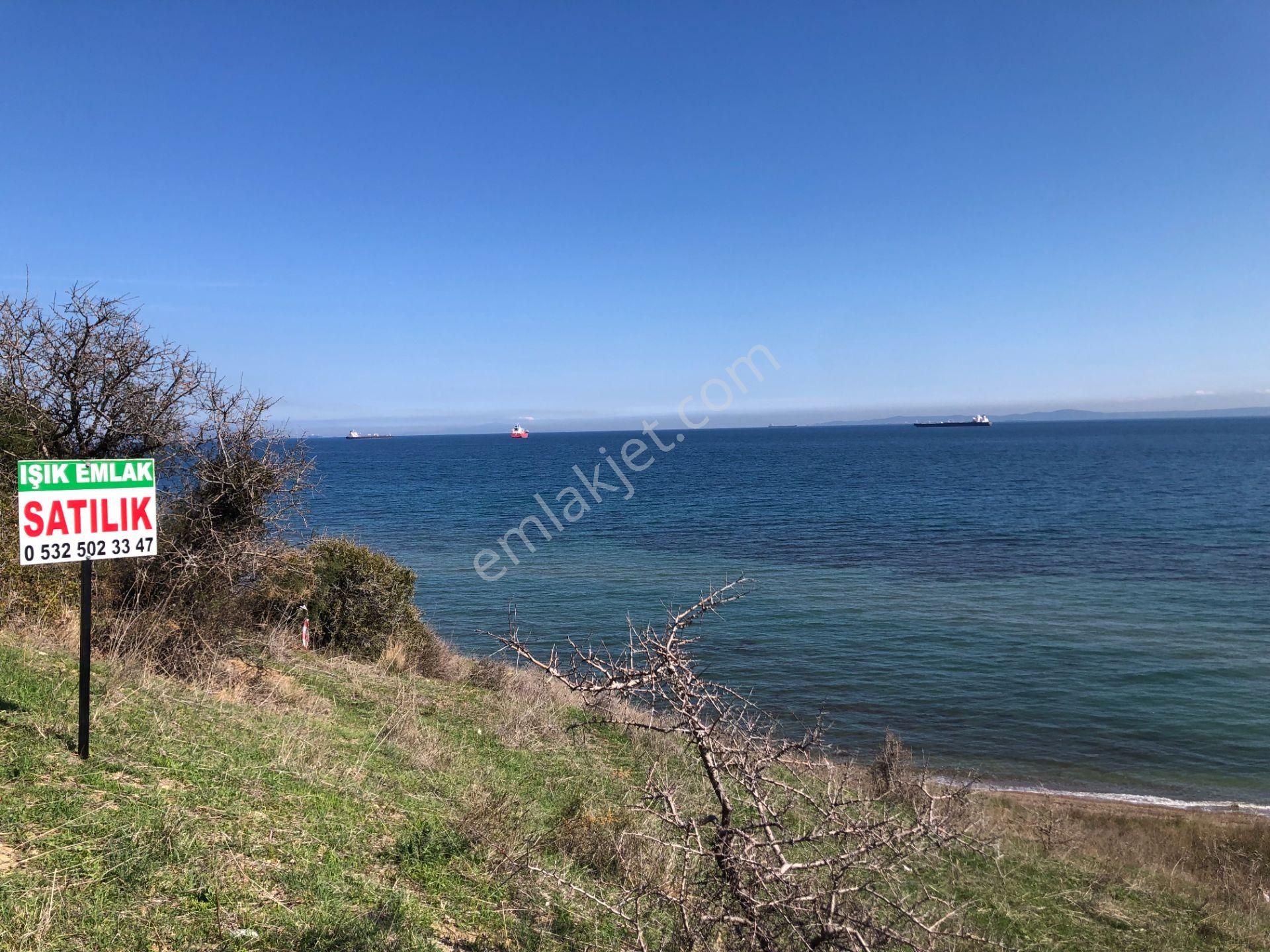 Şarköy De Işık Emlaktan Kızılcaterzi Mah De 383 M2 0/15 İmarlı Arsa - Görsel 8