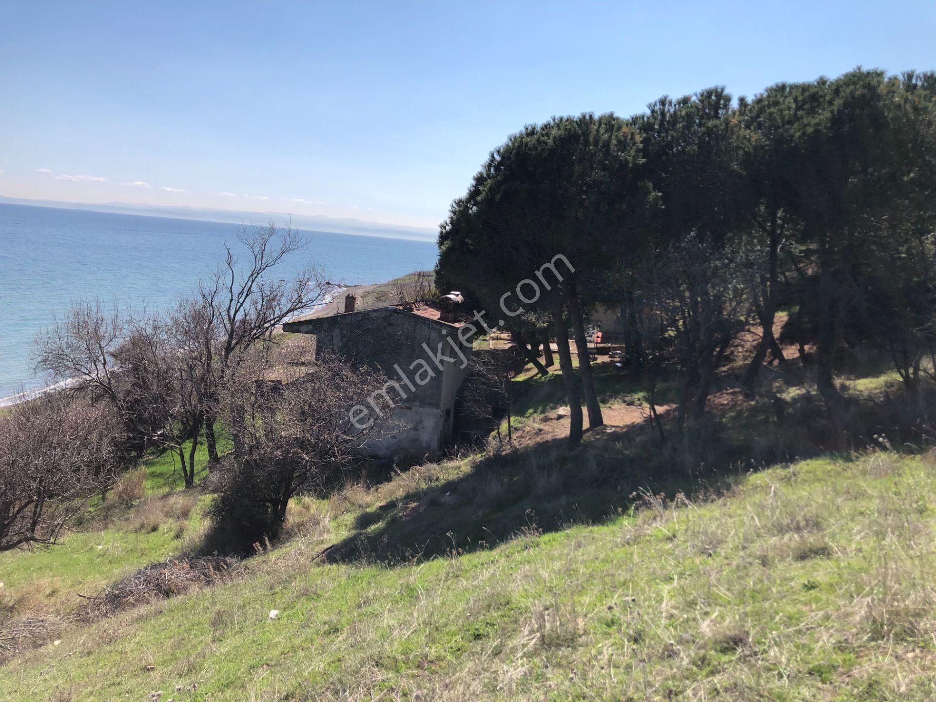 Şarköy De Işık Emlaktan Kızılcaterzi Mah De 383 M2 0/15 İmarlı Arsa - Görsel 16