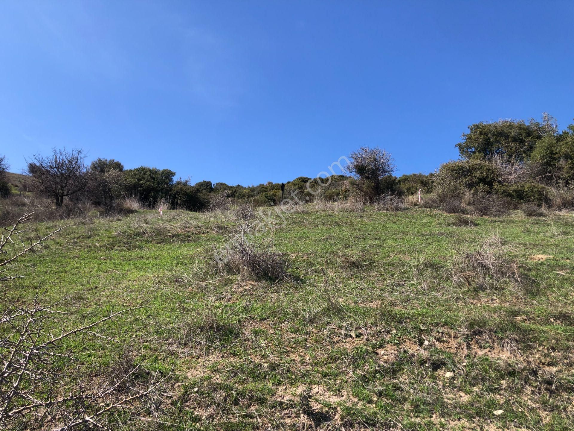 Şarköy De Işık Emlaktan Kızılcaterzi Mah De 383 M2 0/15 İmarlı Arsa - Görsel 11