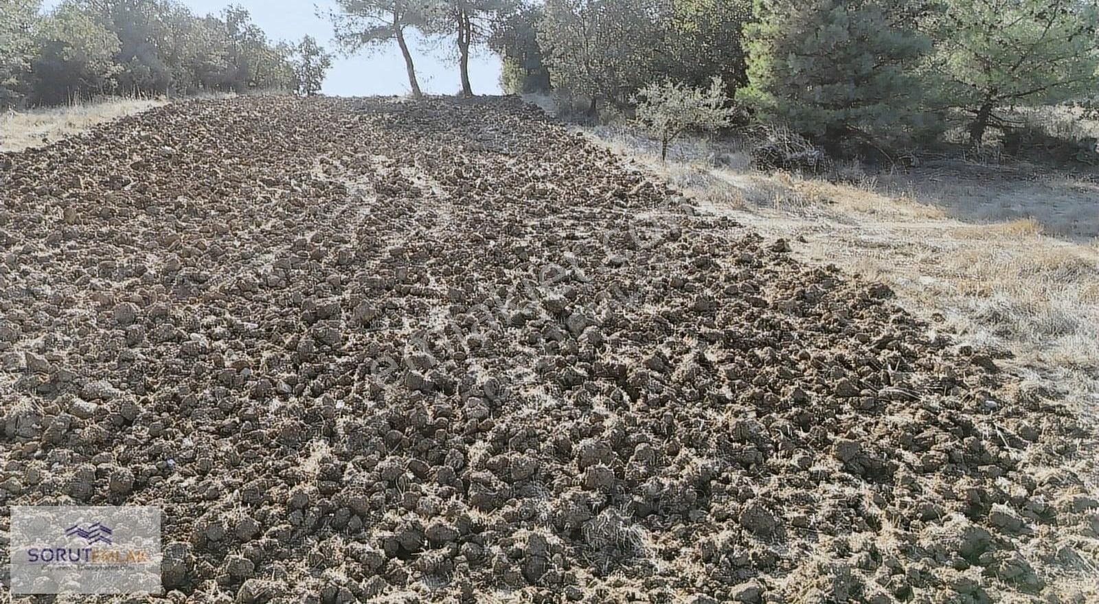 Keşan Bahçeköy Köyü Satılık Tarla BAHÇEKÖY BARAJ KIYISINDA 1800 M2 SATILIK BAĞ YERİ