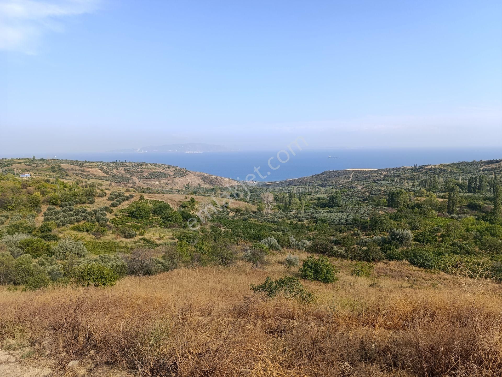 Tekirdağ Şarköy İlçesi Kirazlı Mahallesinde 976 Metrekare Satılık Bağ Yeri
