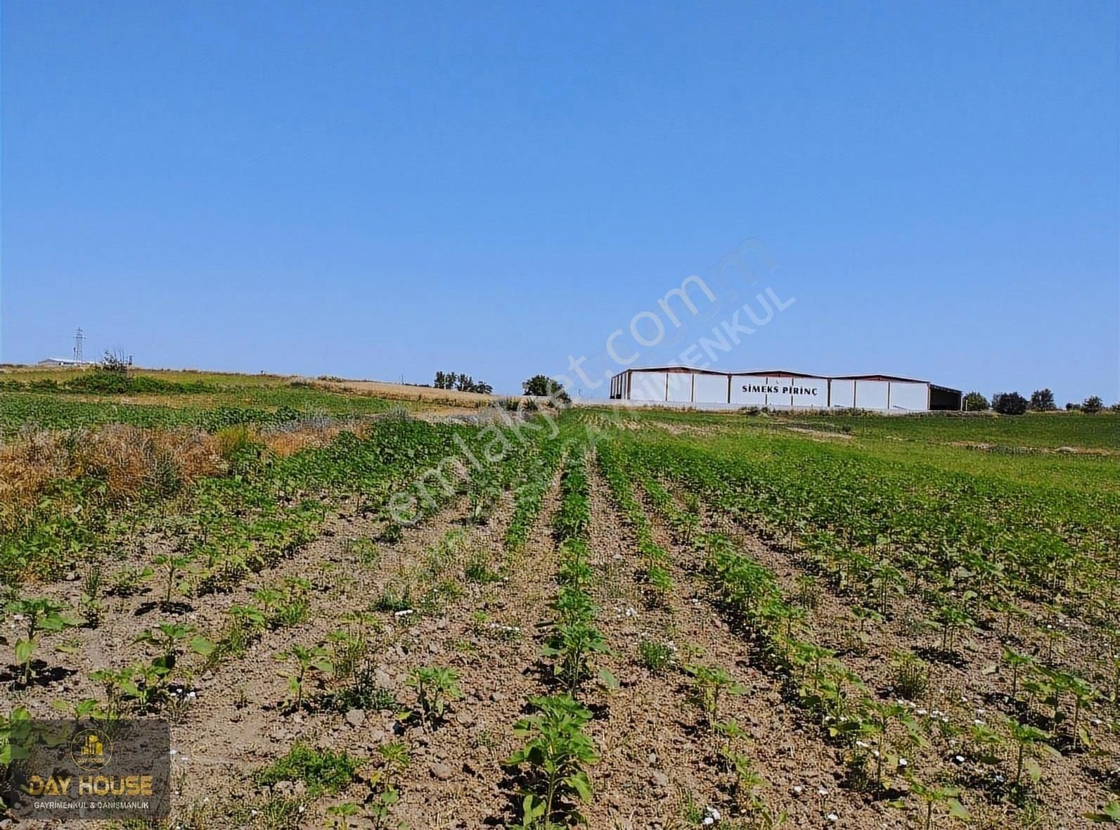 Uzunköprü Hamidiye Köyü Satılık Tarla Yatırımlık Arsa Al Kalsin