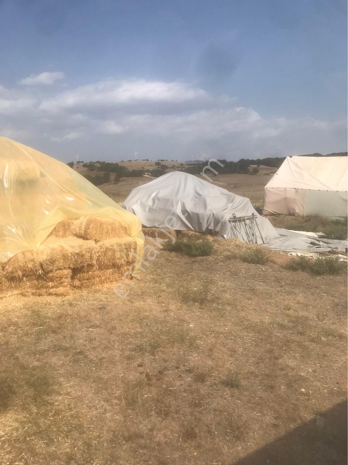 Kırklareli Merkez Uskup Köyüne Baglı Satılık Cıflık - Görsel 4