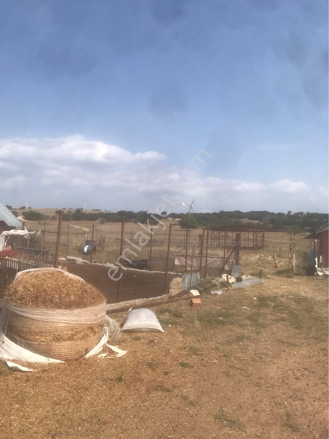 Kırklareli Merkez Uskup Köyüne Baglı Satılık Cıflık - Görsel 12
