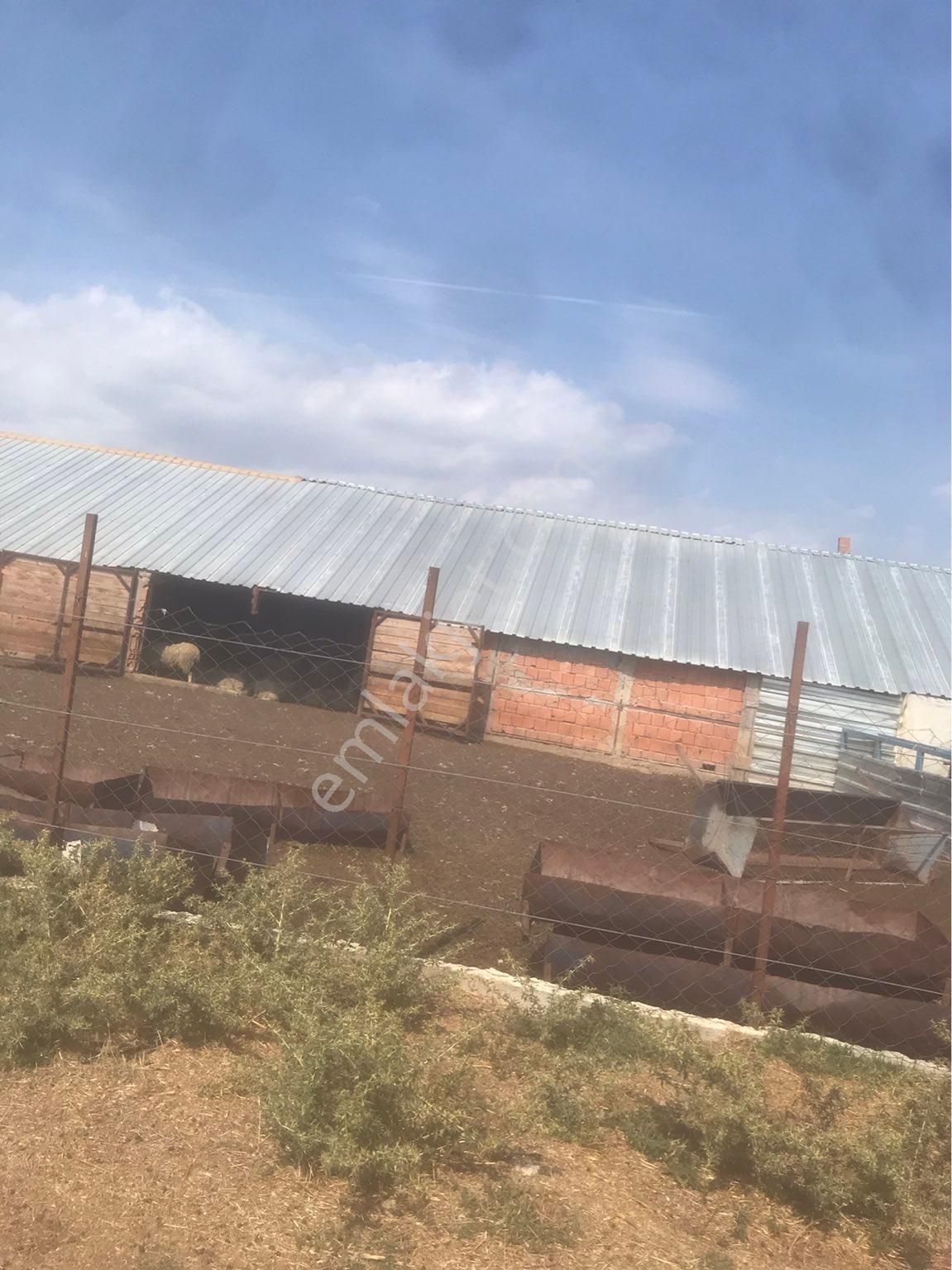 Kırklareli Merkez Uskup Köyüne Baglı Satılık Cıflık - Görsel 15