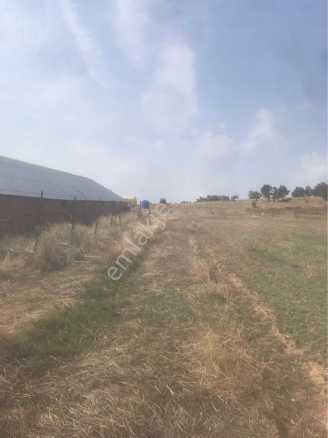 Kırklareli Merkez Uskup Köyüne Baglı Satılık Cıflık - Görsel 18