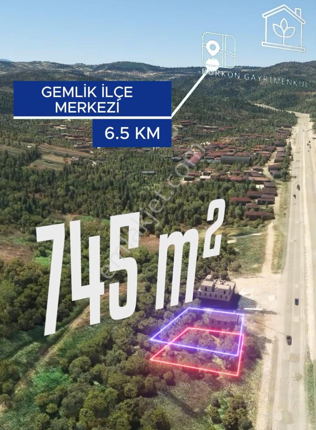 Gemlik Kurtul Satılık Tarla Gemlik Kurtulda Arazi