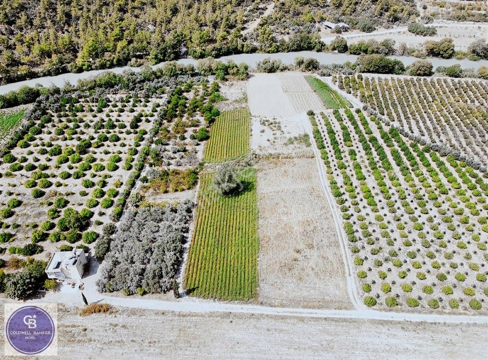 Silifke Çamlıbel Satılık Tarla CB MORE - Silifke Göksu Nehri Yanında Verimli Satılık Tarla