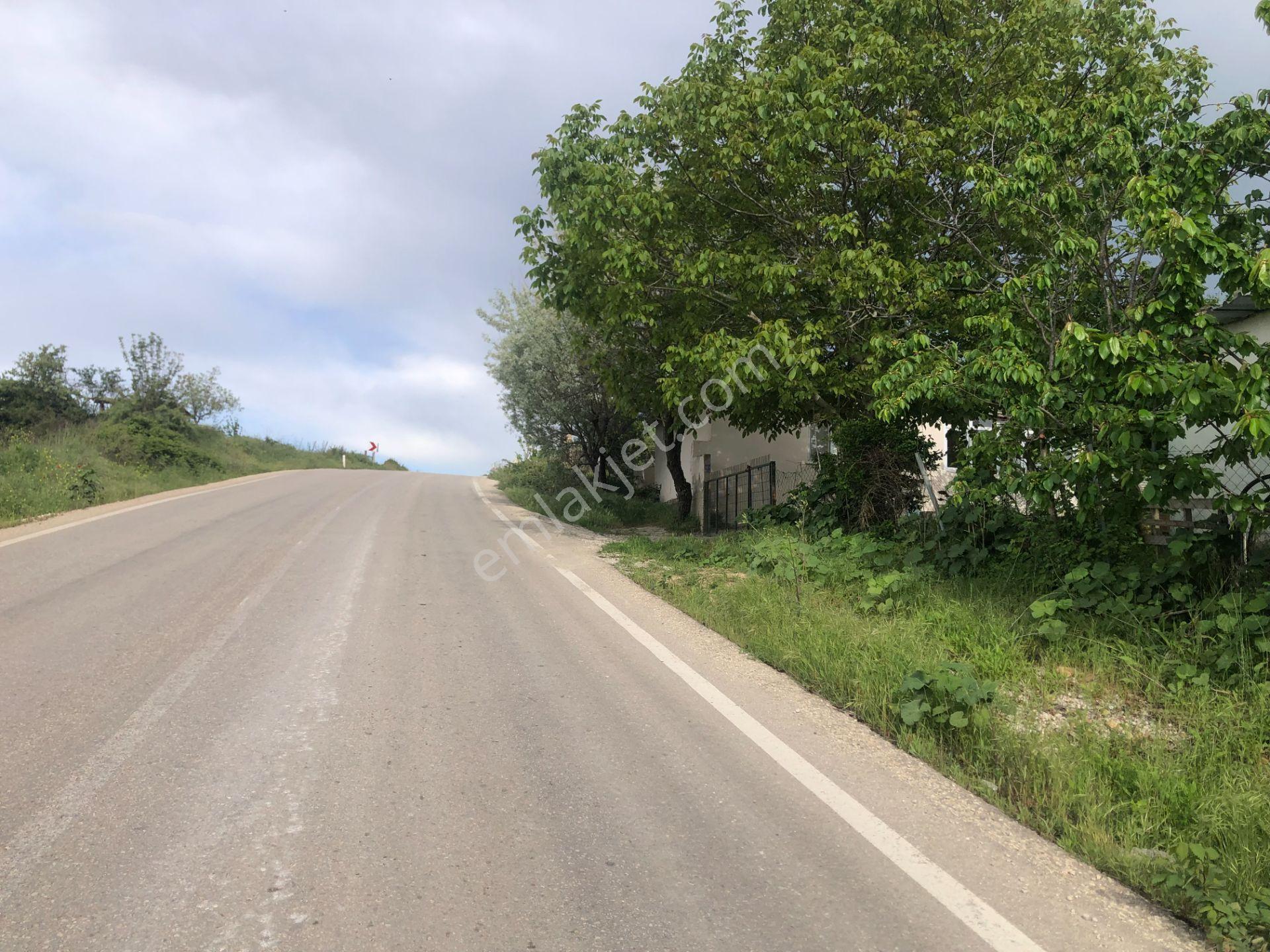 Şarköy De Işık Emlaktan Camikebir Mah De 1900 M2 Cevizlik - Görsel 18