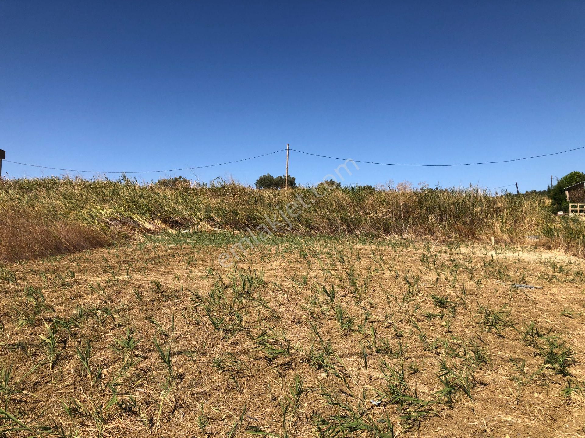 Şarköy De Işık Emlaktan İğdebağları Mah De 1040 M2 0/15 İmarlı Arsa - Görsel 8