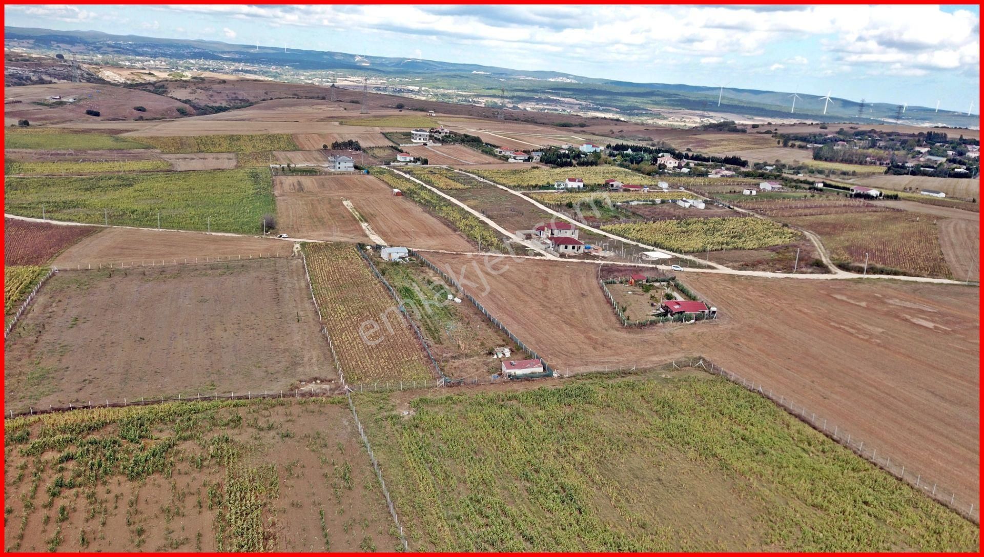 Elbasanda Mahalleye Yakın Tek Tapu Müstakil Tarla - Görsel 8