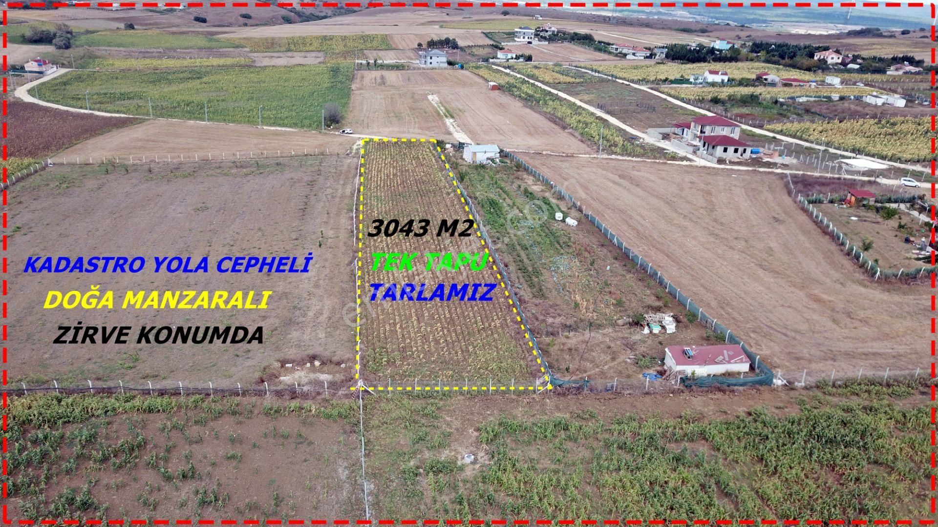 Elbasanda Mahalleye Yakın Tek Tapu Müstakil Tarla - Görsel 6