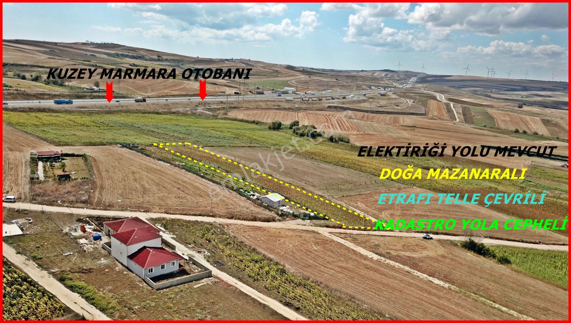 Elbasanda Mahalleye Yakın Tek Tapu Müstakil Tarla - Görsel 2