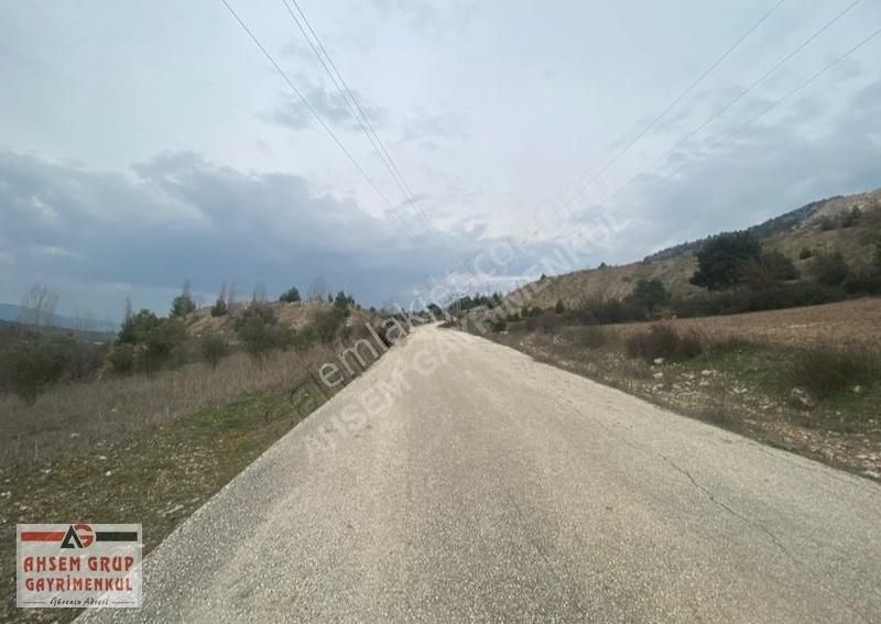 Gölpazarı Demirhanlar Köyü (Gemici) Satılık Tarla Gölpazarı Demirhanlar Köyünde Resmi Yol Kenarı 1.810 M2 Bahçe