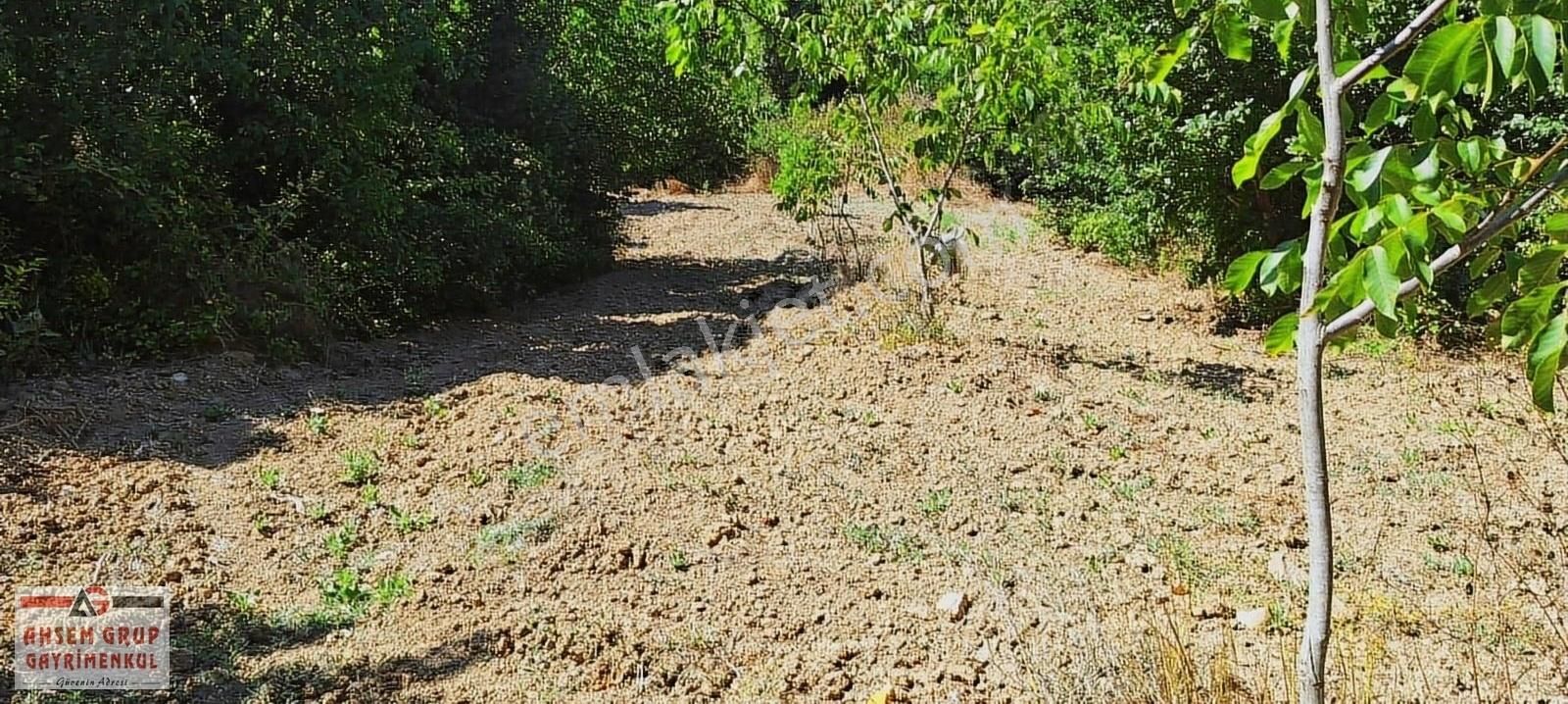 Geyve Çamlık Satılık Bağ & Bahçe GEYVE DE KONUT İMARLI YATIRIMLIK FIRSAT ARSA GÜNLERİ !