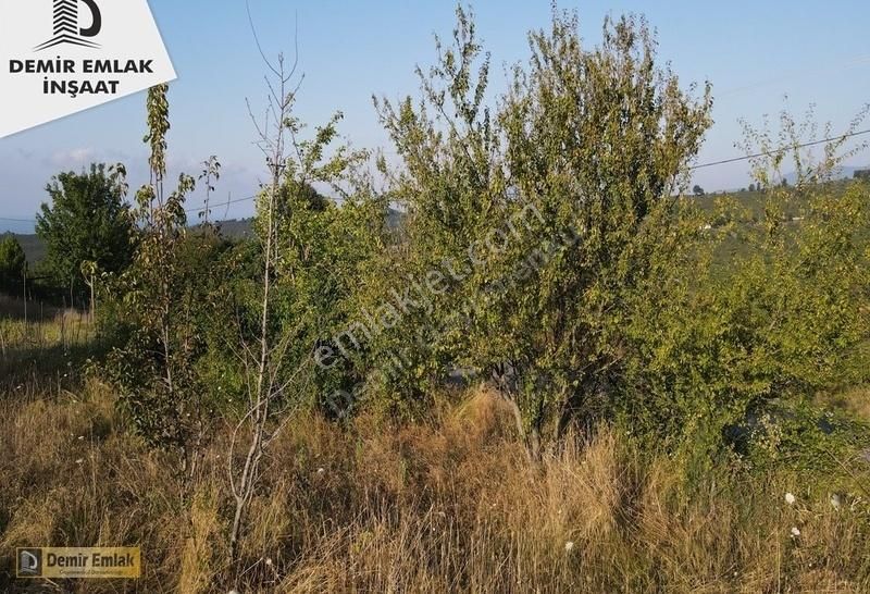 Kocaali Yeni Satılık Bağ & Bahçe Kocaali Yeni Mahallede Full Deniz Manzaralı Ana Yola Cephe