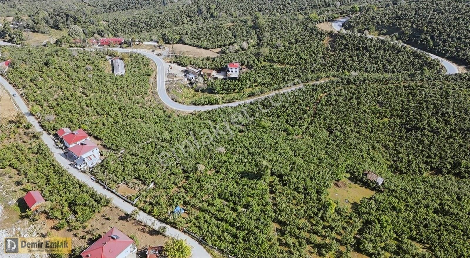 Kocaali Yeni Mahallede Arsa Konumunda Bahçe - Görsel 13