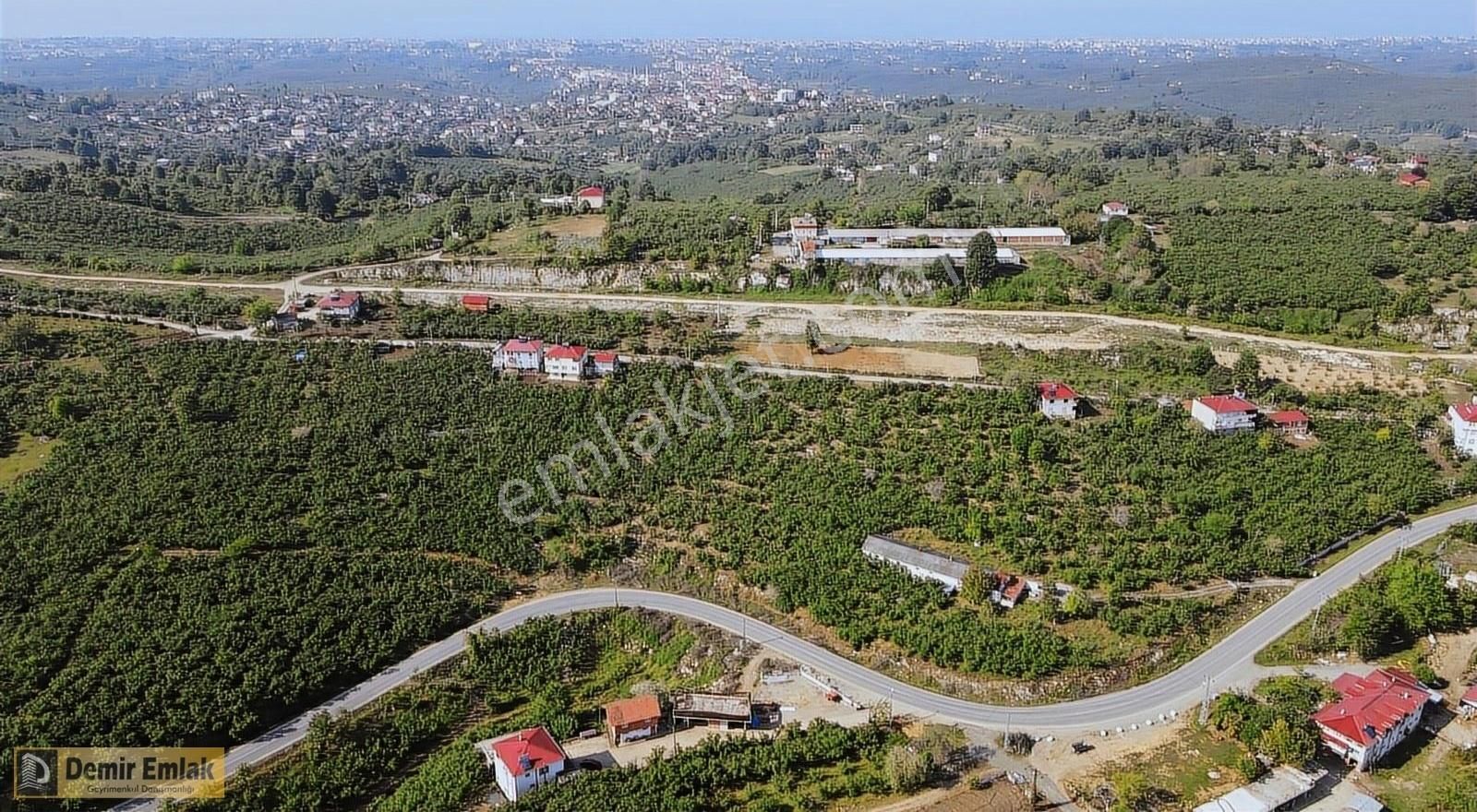 Kocaali Yeni Mahallede Arsa Konumunda Bahçe - Görsel 31