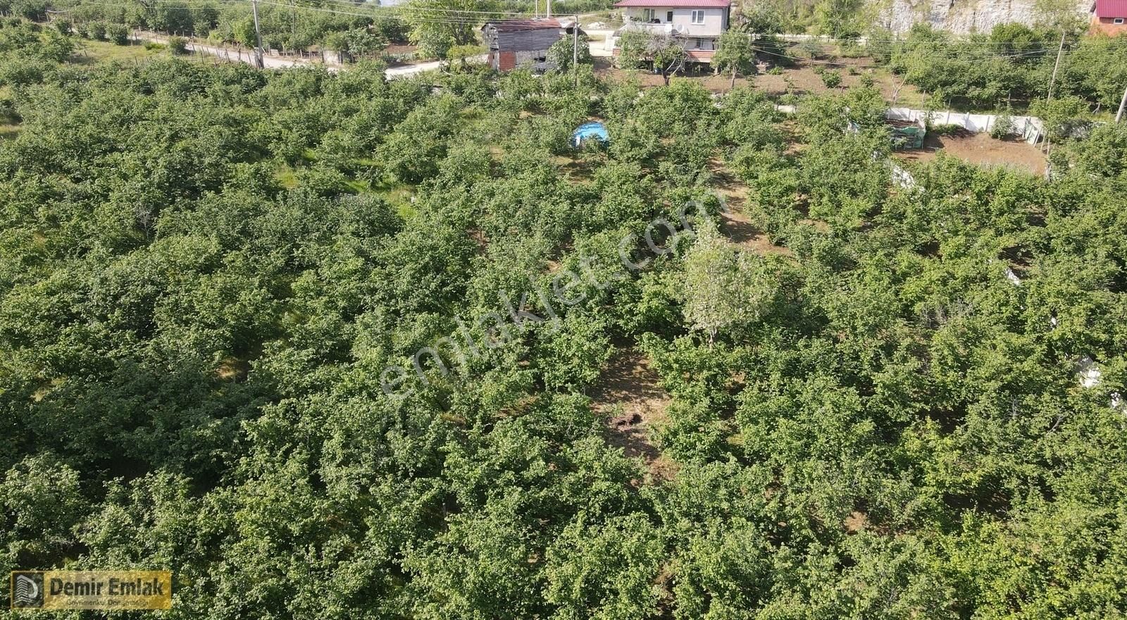 Kocaali Yeni Mahallede Arsa Konumunda Bahçe - Görsel 29