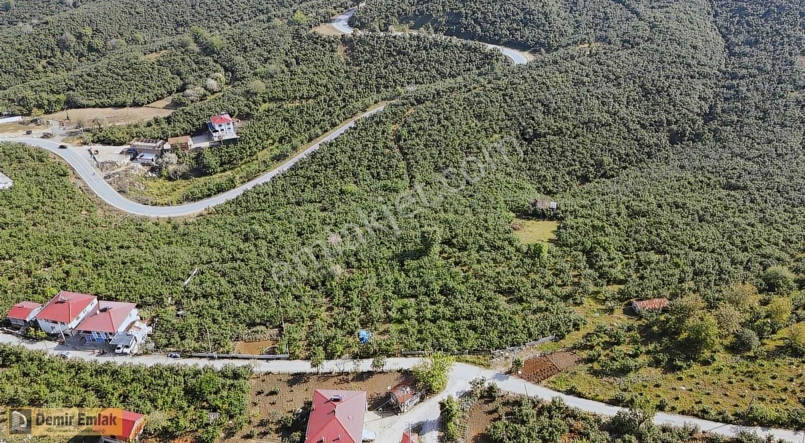 Kocaali Yeni Mahallede Arsa Konumunda Bahçe - Görsel 5