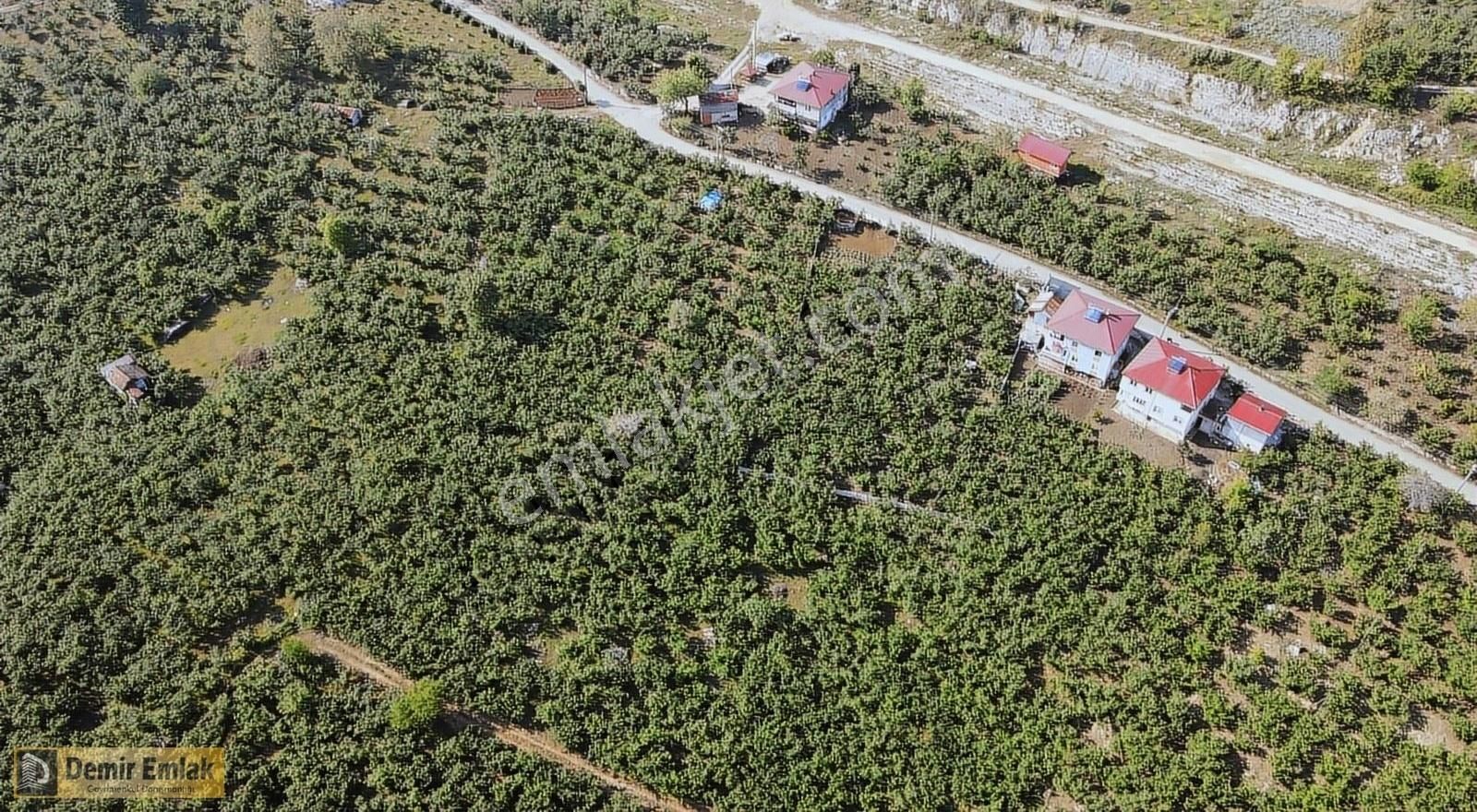 Kocaali Yeni Mahallede Arsa Konumunda Bahçe - Görsel 12