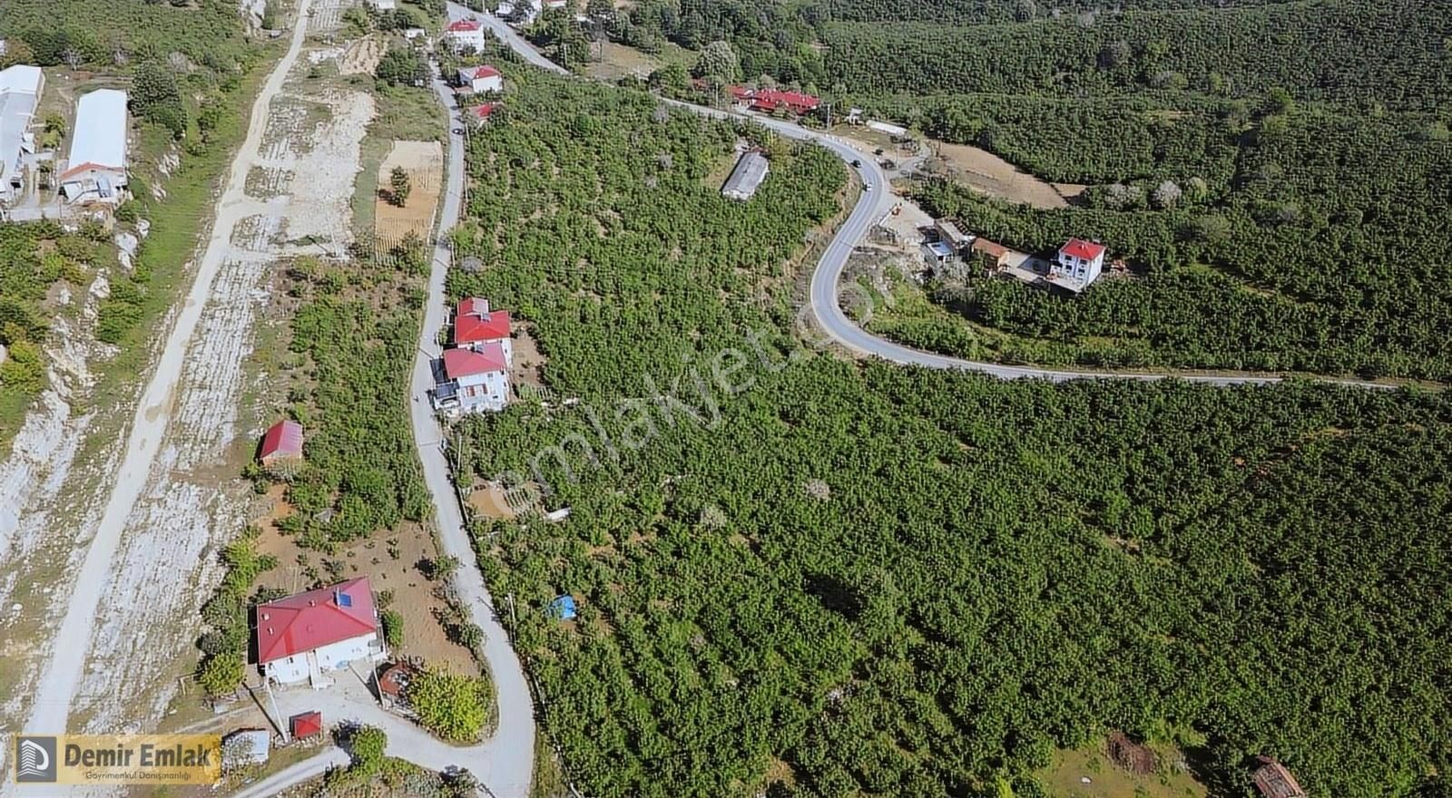 Kocaali Yeni Mahallede Arsa Konumunda Bahçe - Görsel 23