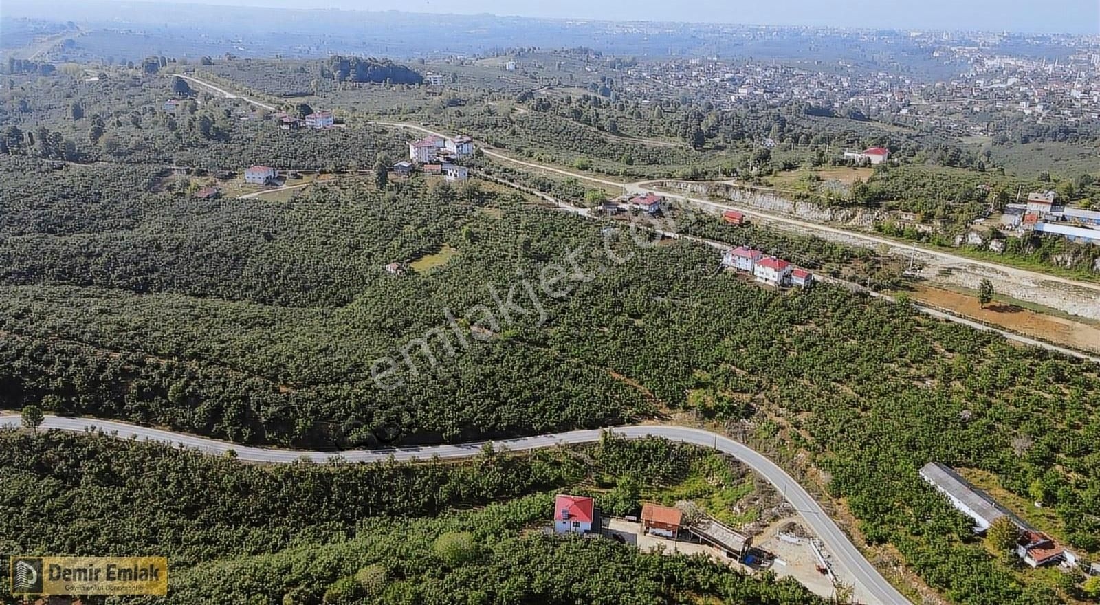 Kocaali Yeni Mahallede Arsa Konumunda Bahçe - Görsel 2
